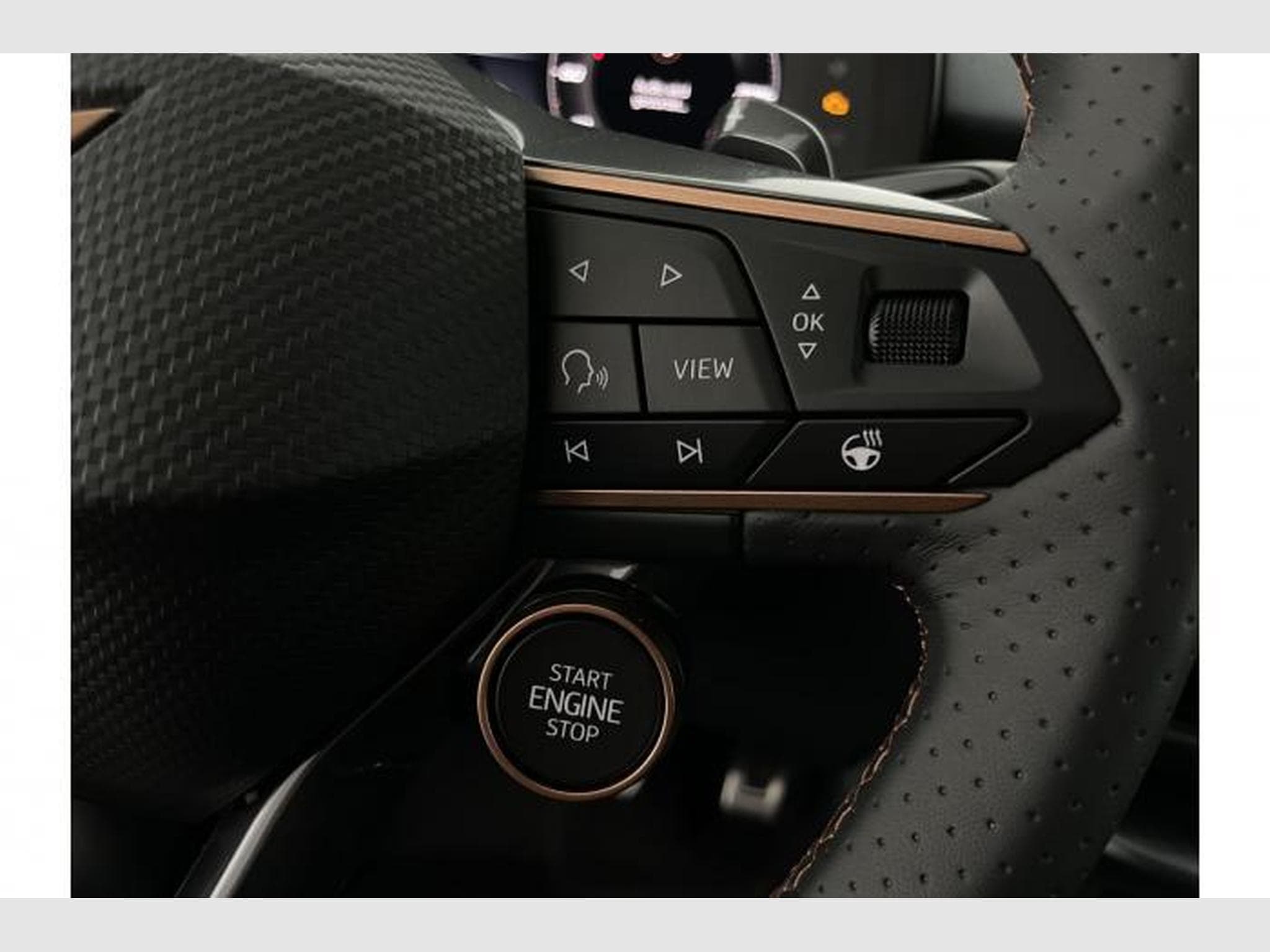 Cupra Terramar VZ (2025) - Foto 22