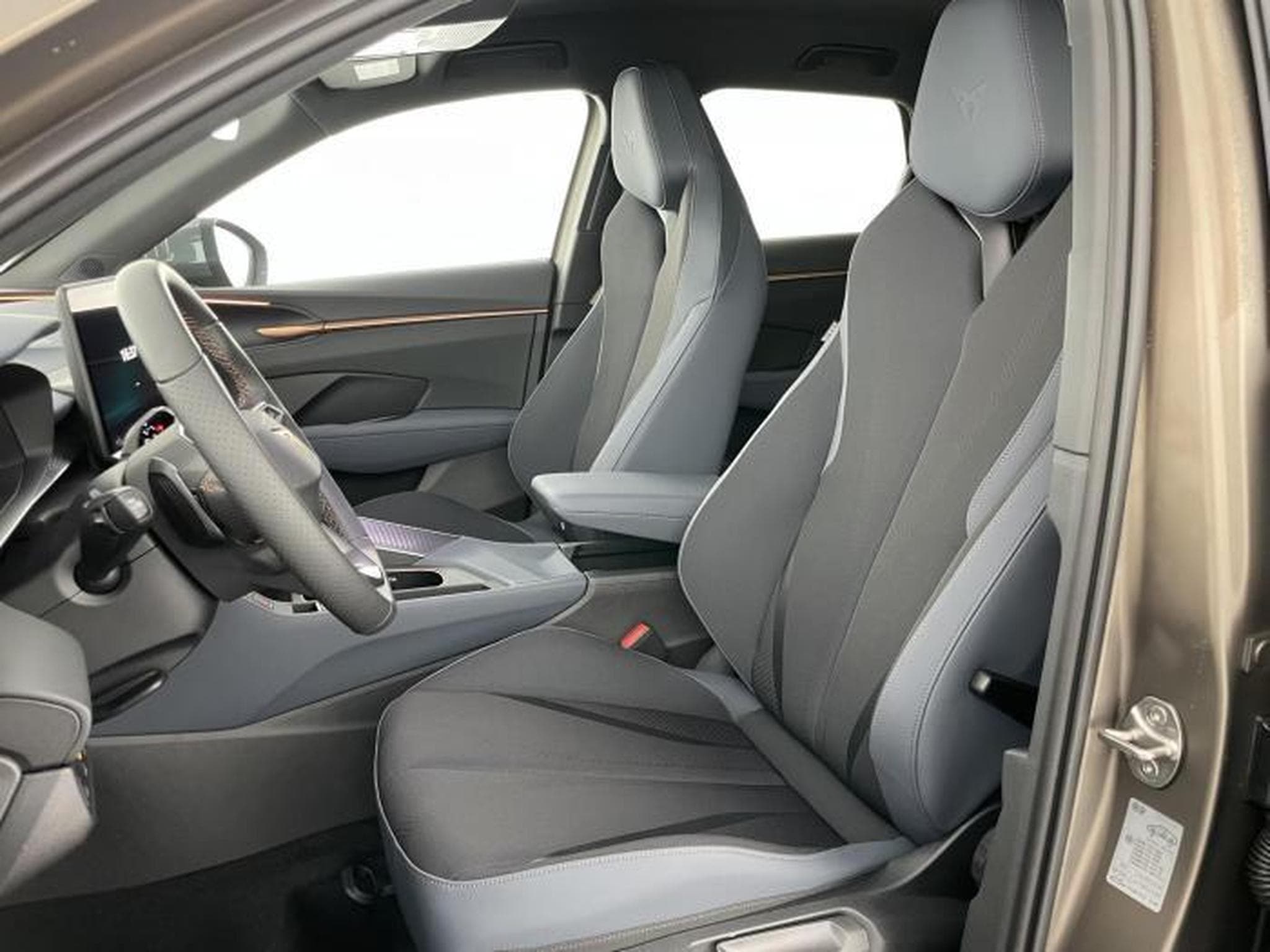 Cupra Terramar VZ (2025) - Foto 12