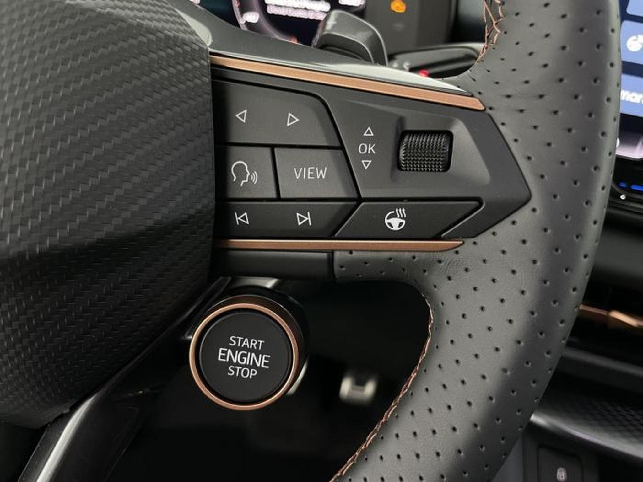 Cupra Terramar VZ (2025) - Foto 20