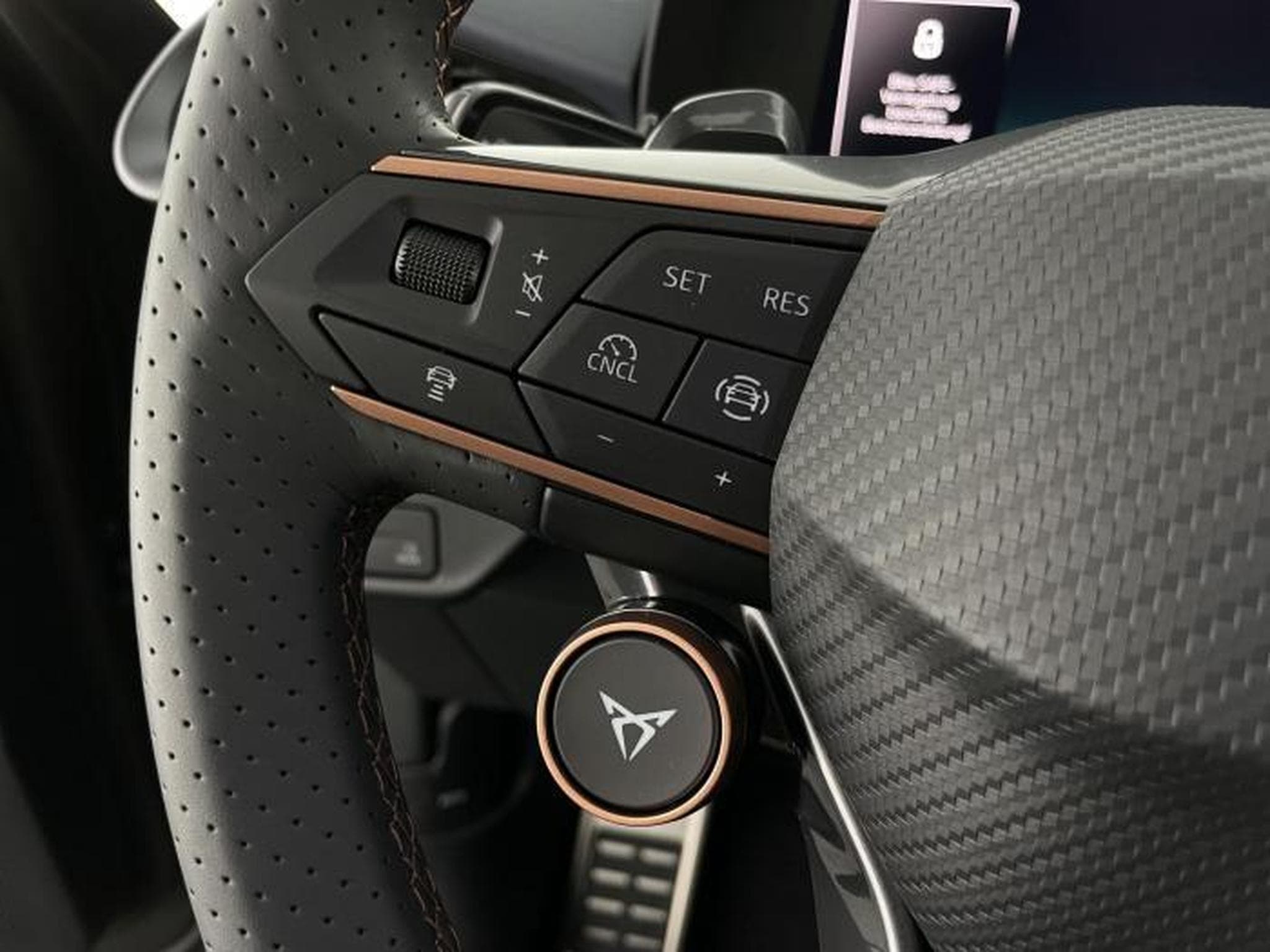 Cupra Terramar VZ (2025) - Foto 21