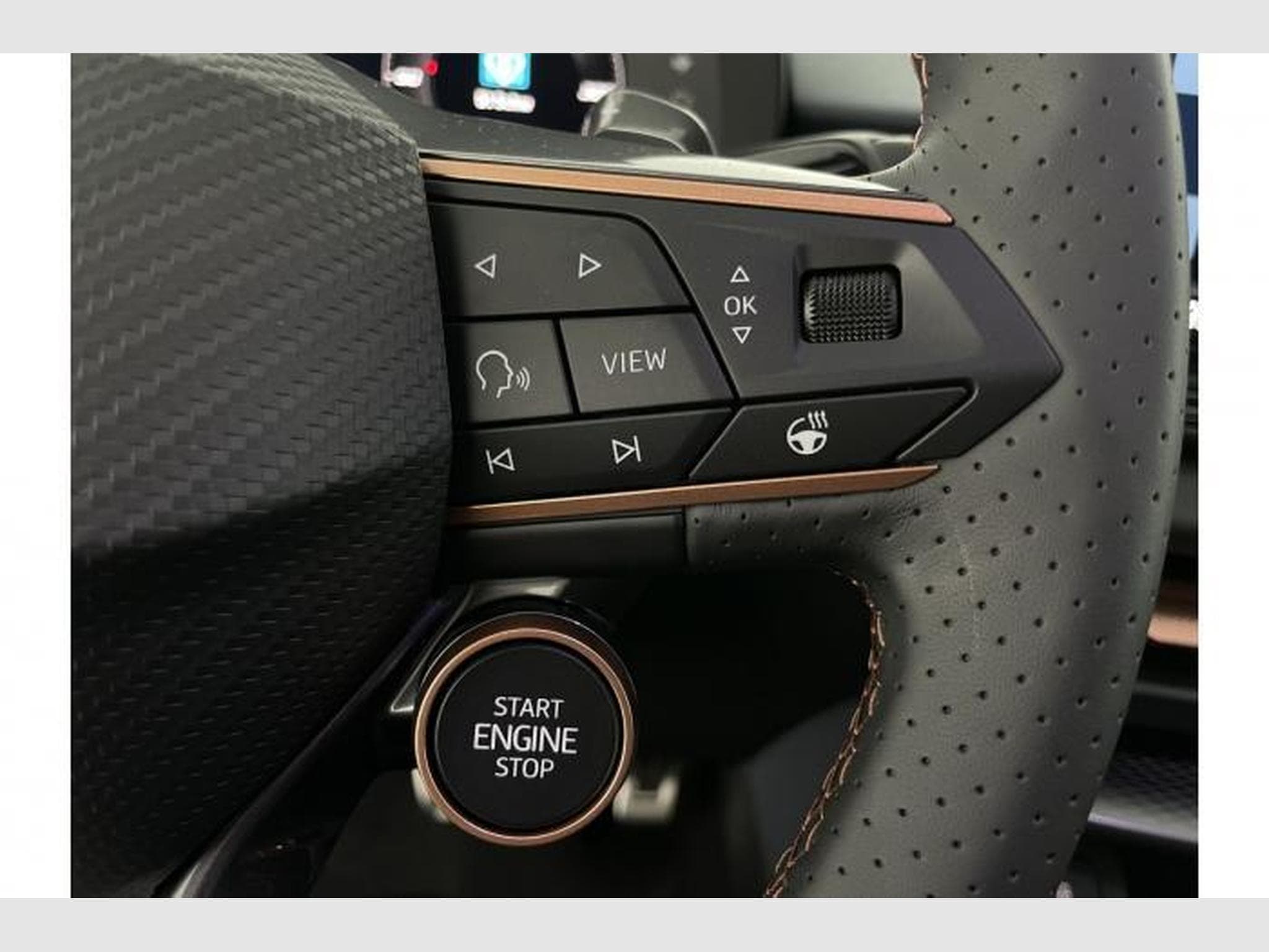 Cupra Terramar VZ (2025) - Foto 21