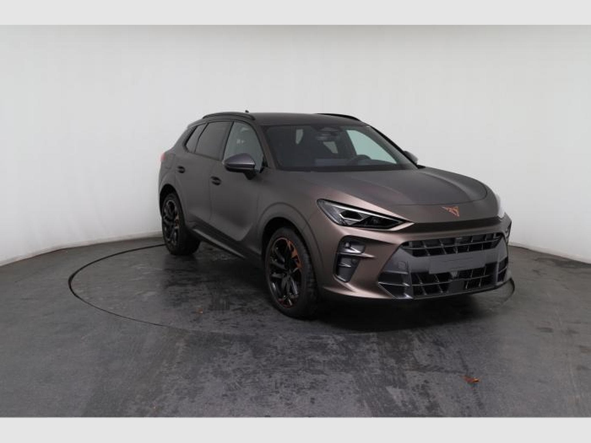 Cupra Terramar VZ (2025) - Foto 10