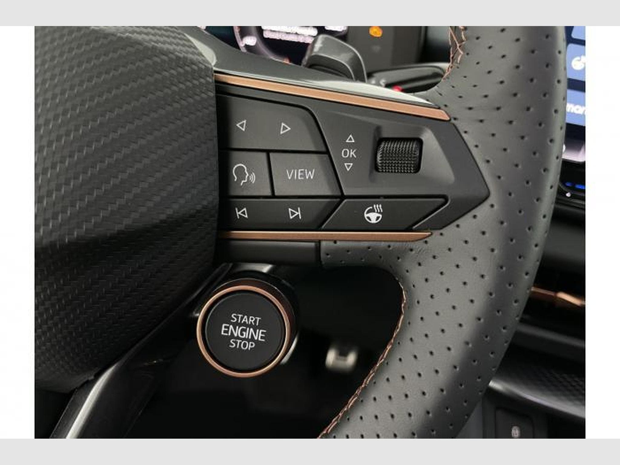 Cupra Terramar VZ (2025) - Foto 20