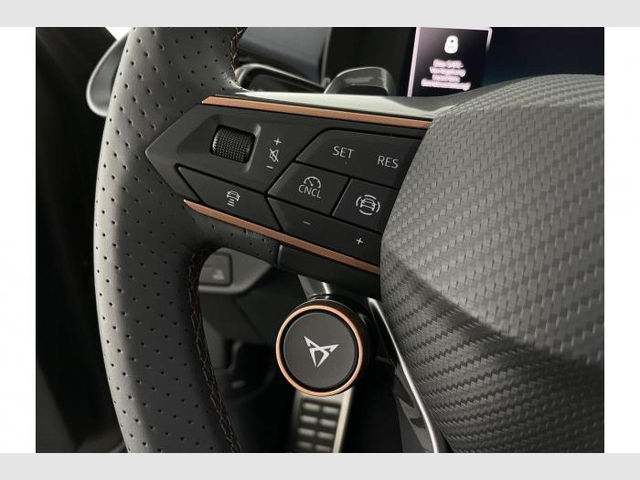 Cupra Terramar VZ (2025) - Foto 21