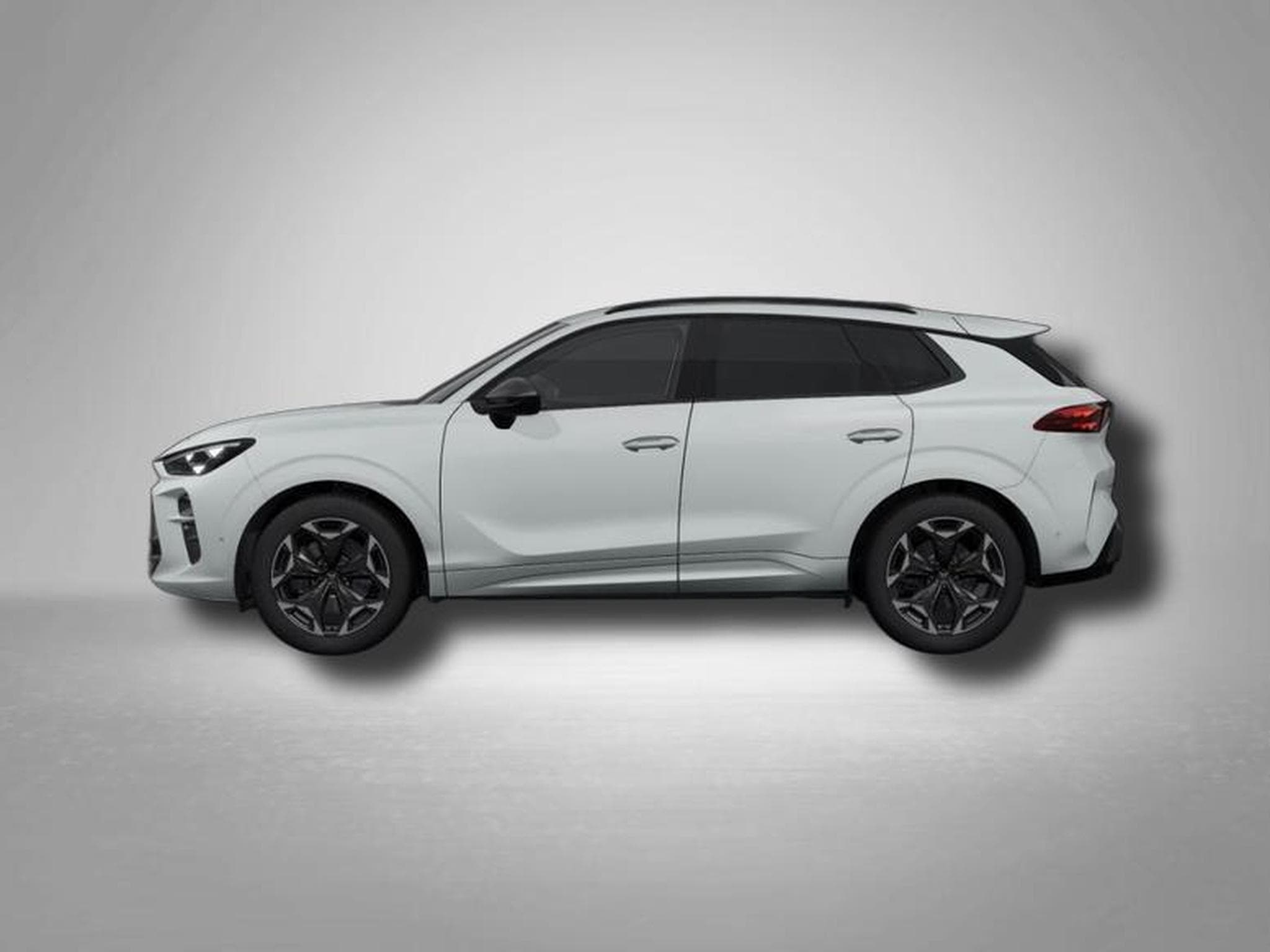 Cupra Terramar VZ 2.0 TSI (2025) - Photo 2