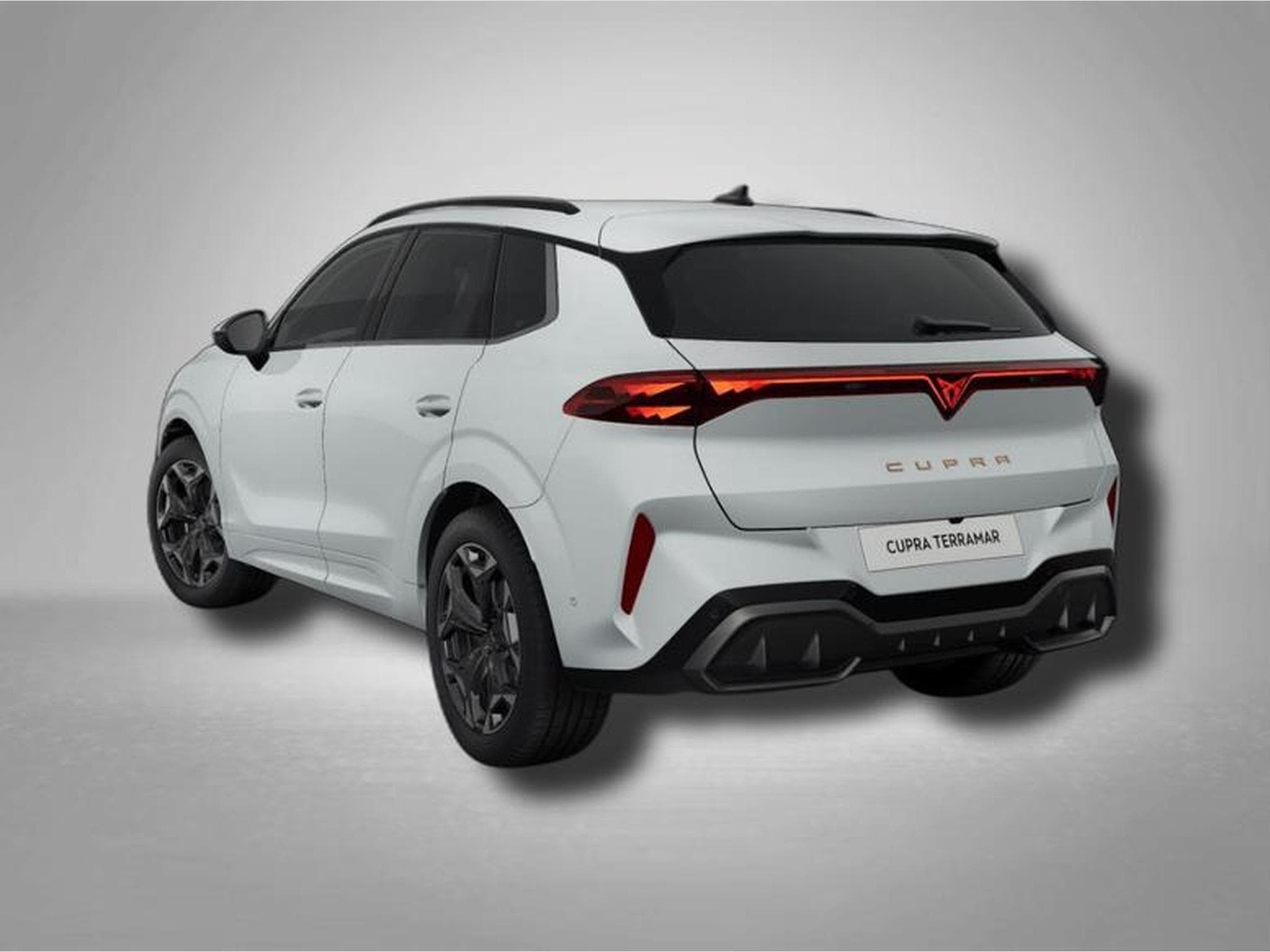 Cupra Terramar VZ 2.0 TSI (2025) - Photo 3