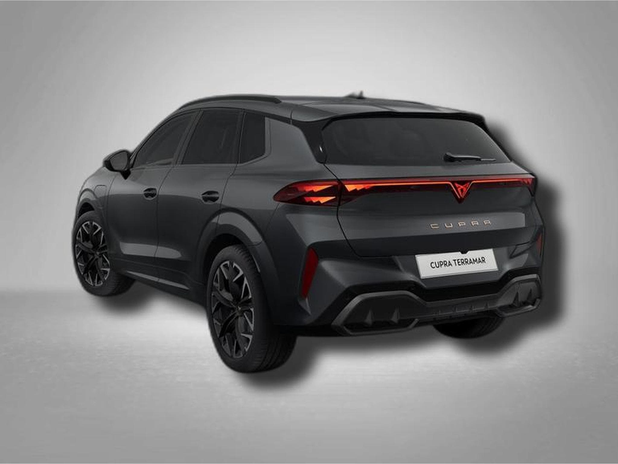 Cupra Terramar America`s CUP Limited Edition e-HYBRID 1.5 e-HYBRID 200 kW ( (2025) - Photo 3