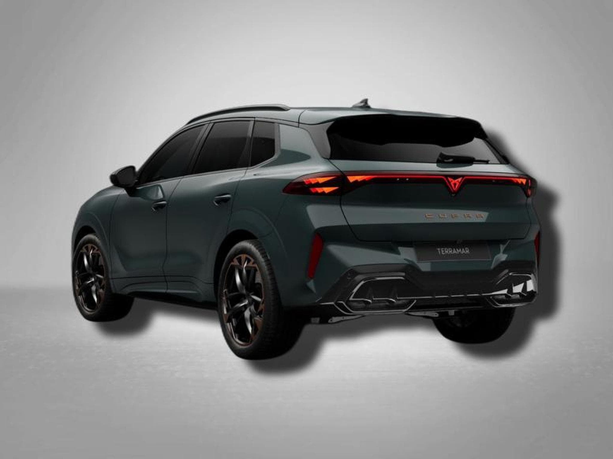 Cupra Terramar VZ 2.0 TSI (2025) - Foto 3