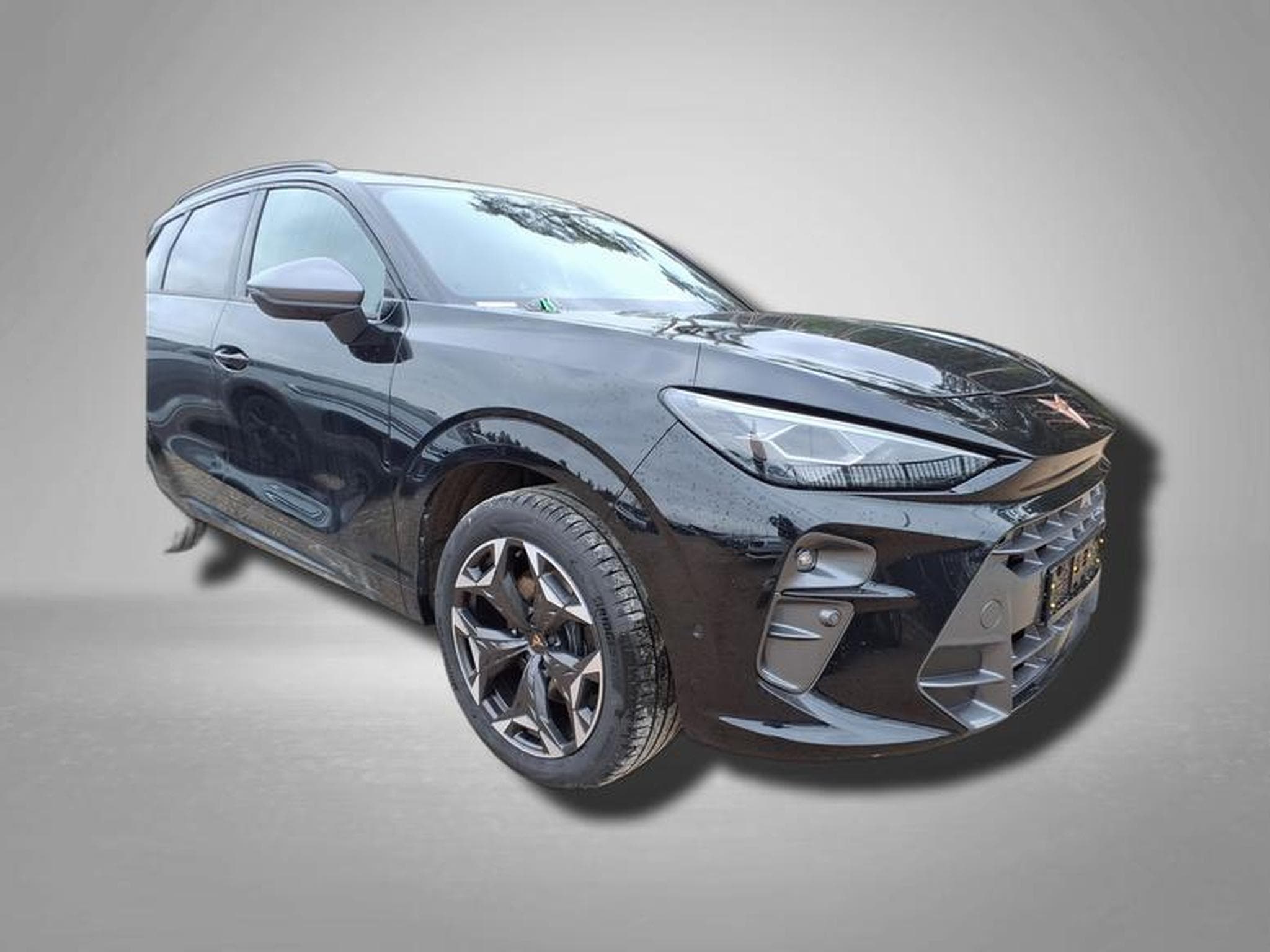 Cupra Terramar VZ 2.0 TSI 7-Gang-DSG 4Drive (2025) - Foto 2