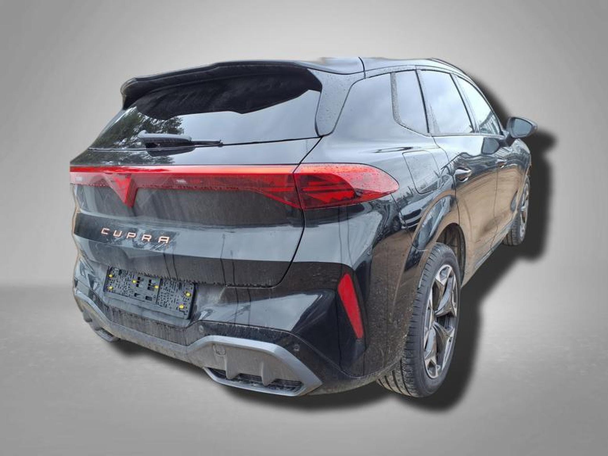 Cupra Terramar VZ 2.0 TSI 7-Gang-DSG 4Drive (2025) - Photo 3