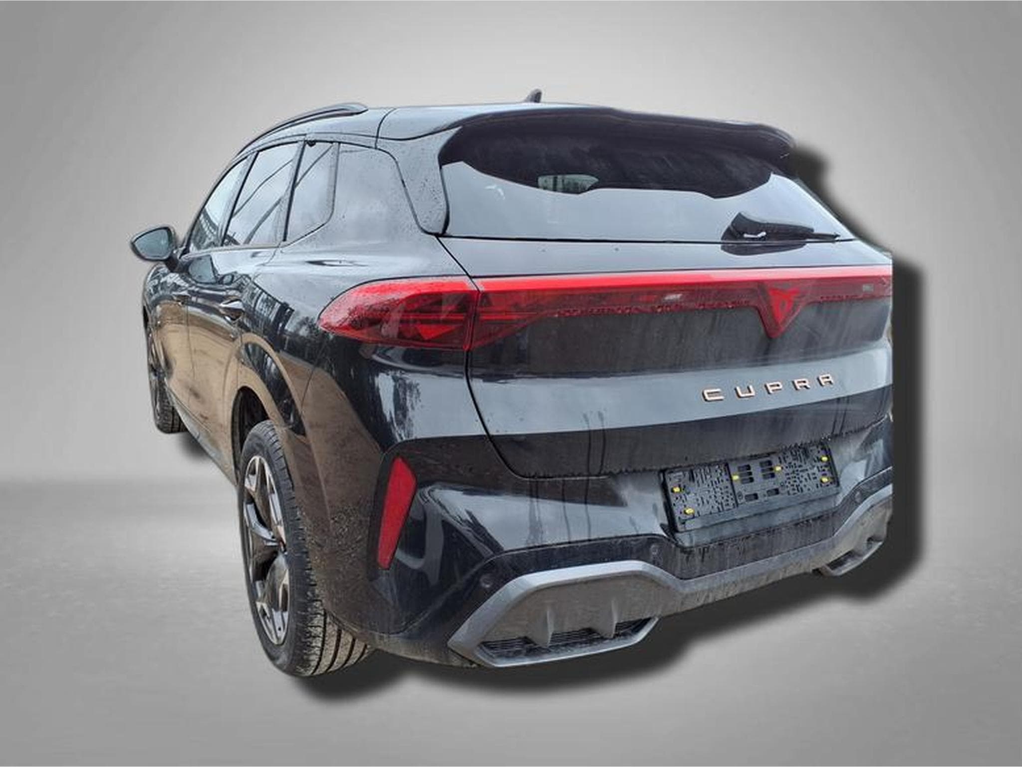 Cupra Terramar VZ 2.0 TSI 7-Gang-DSG 4Drive (2025) - Photo 4