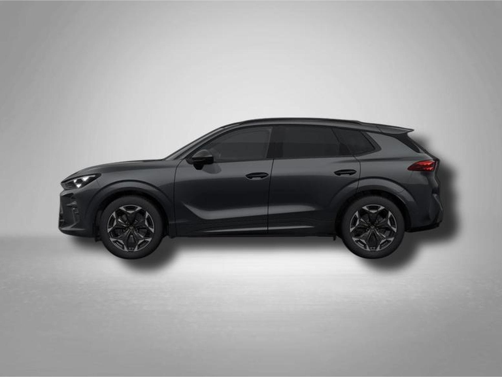 Cupra Terramar VZ 2.0 TSI (2025) - Foto 2