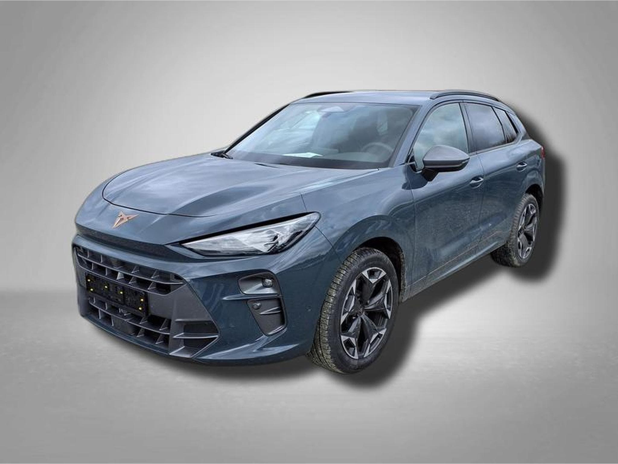 Cupra Terramar VZ 2.0 TSI 7-Gang-DSG 4Drive (2025) - Photo 1