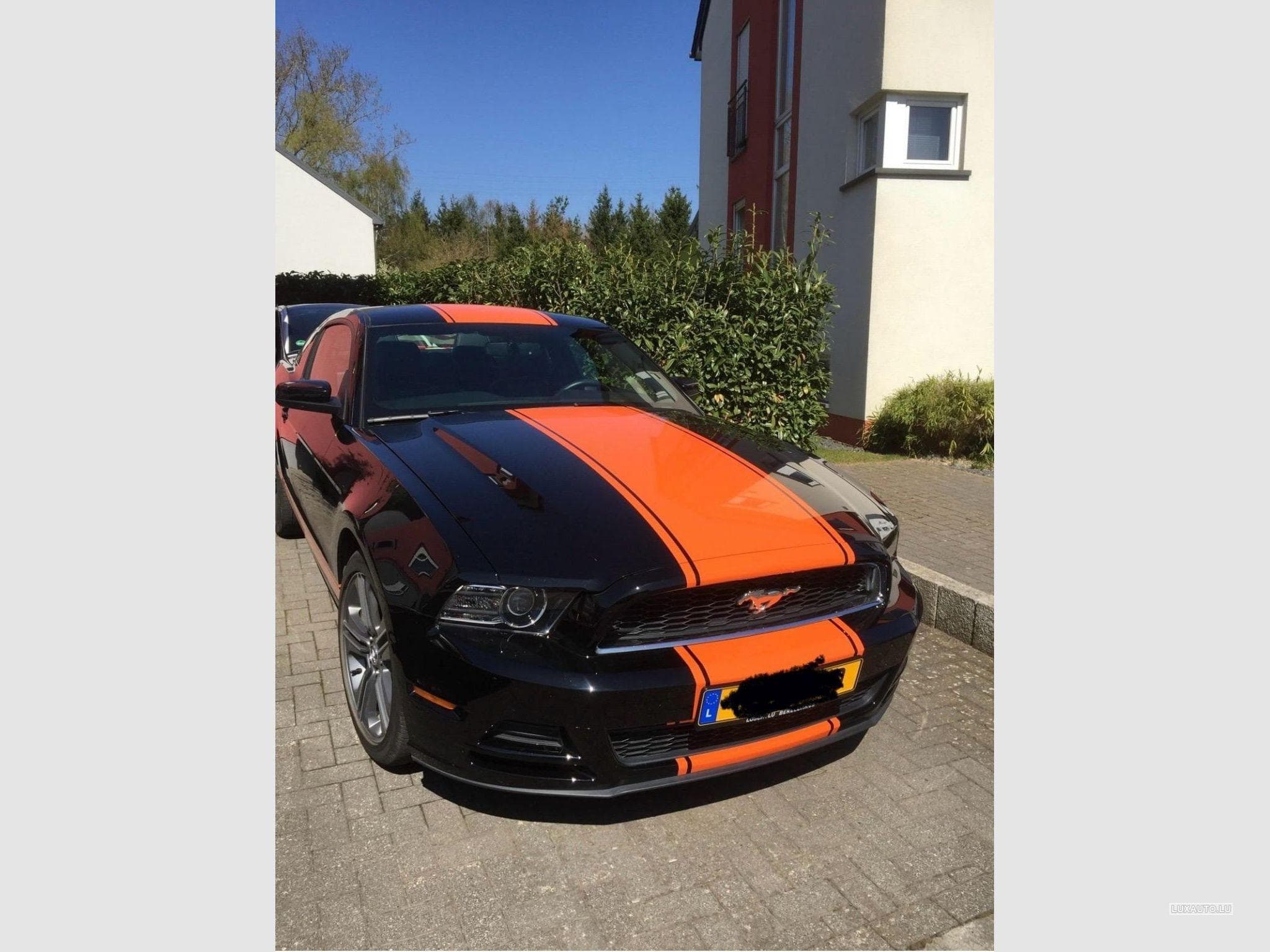 Ford Mustang (2013) - Foto 3