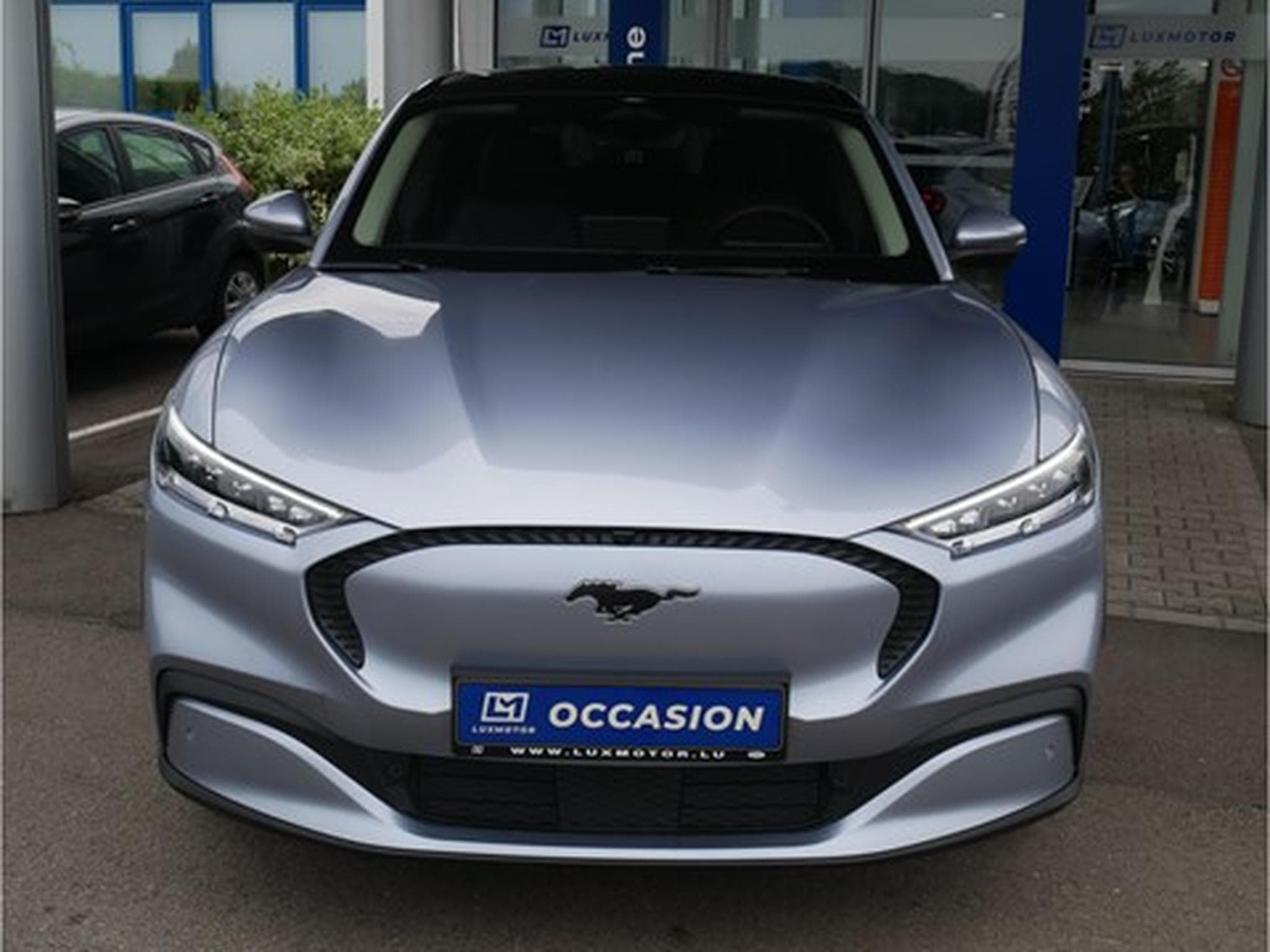 Ford Mustang Mach-E RWD 99kWh Extended Range 294ch/216kW - GAR 06/2030 (2022) - Foto 8