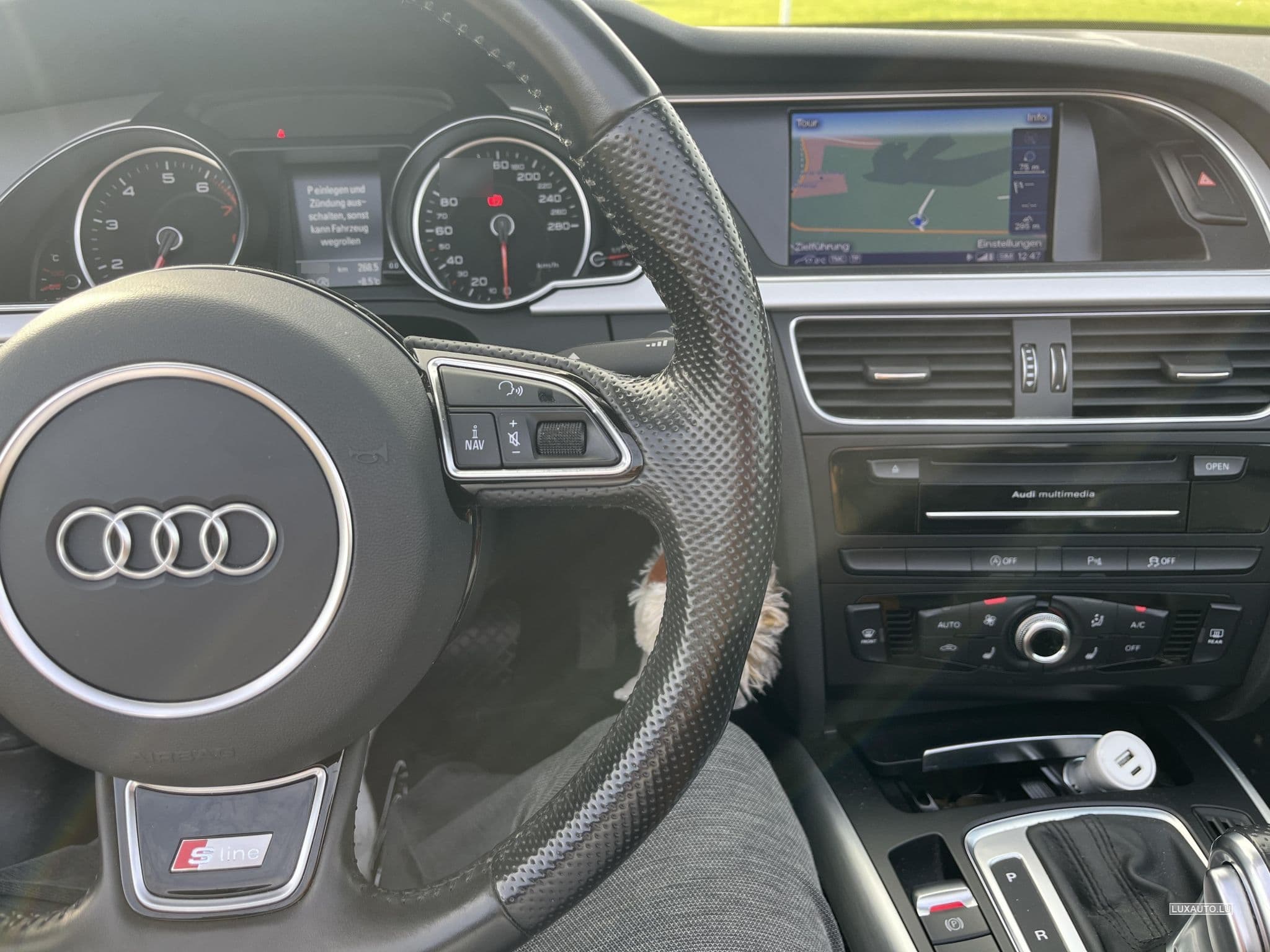 Audi Cabriolet A5 cabrio 2.0 TFSI quattro S-Line (2015) - Photo 6