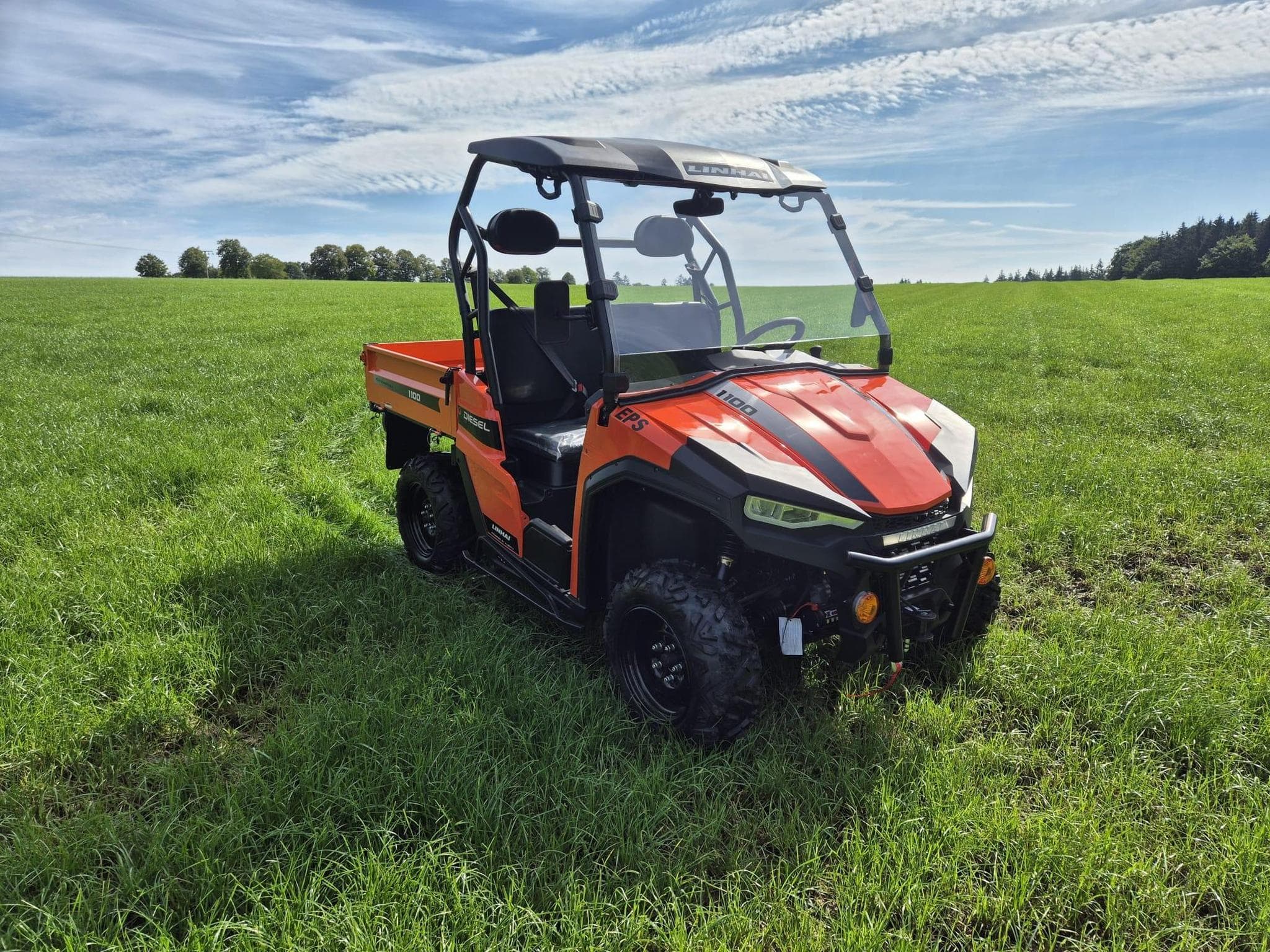 Linhai Ranger LH1100D (2025) - Foto 1