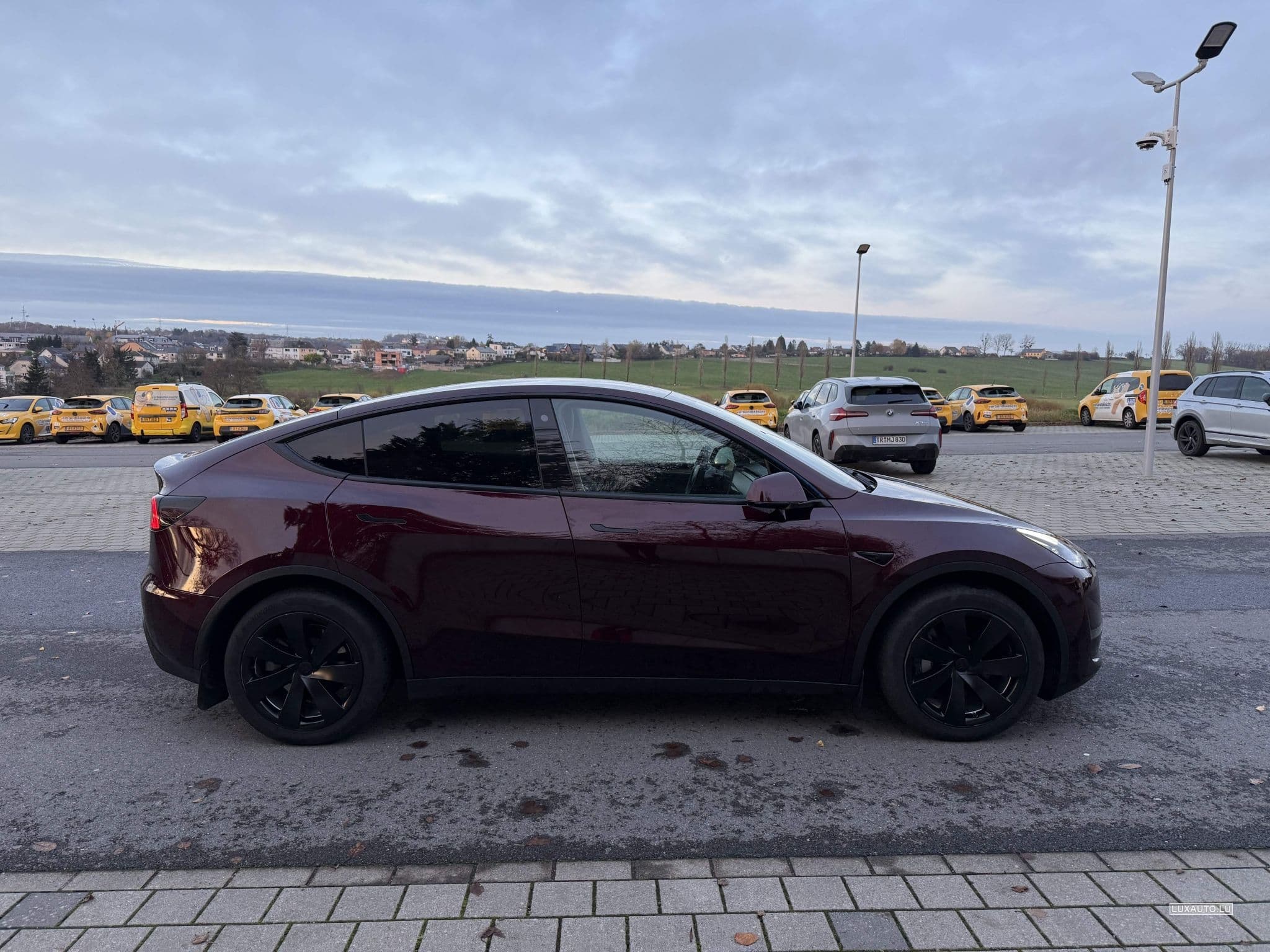 Tesla Model Y Long Range with Tow Hitch (2024) - Foto 3