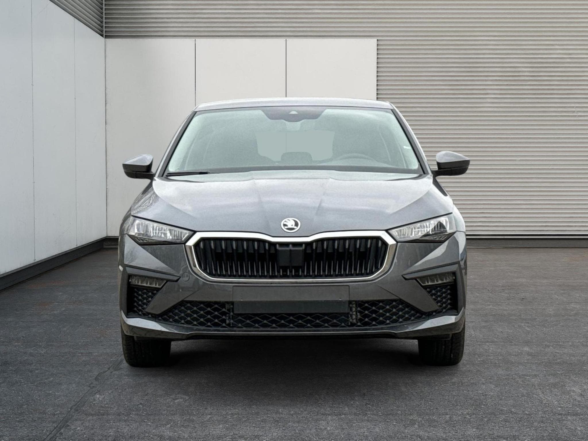 Skoda Scala Selection (2026) - Photo 6
