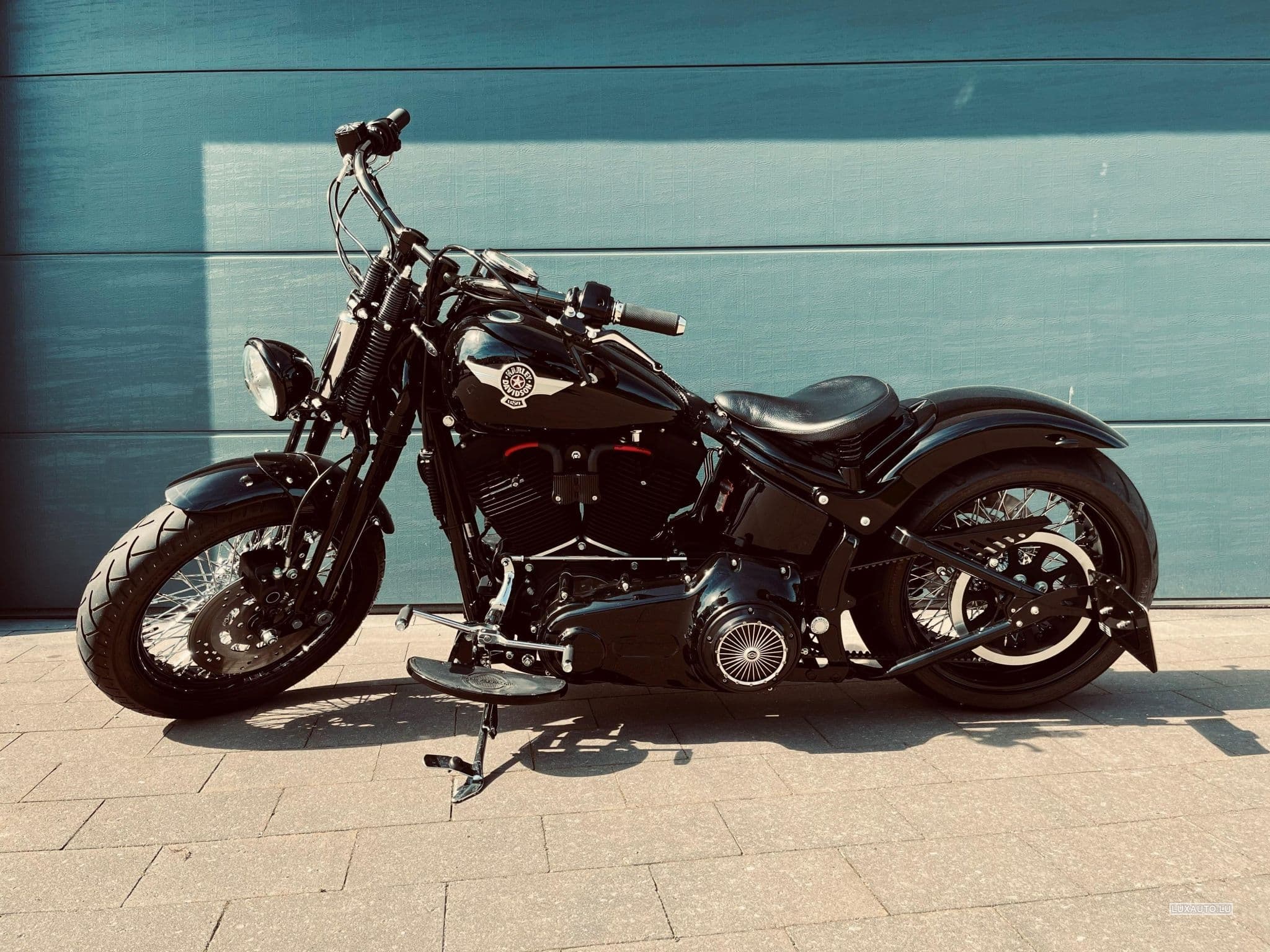 Harley-Davidson Cross Bones (2008) - Foto 1