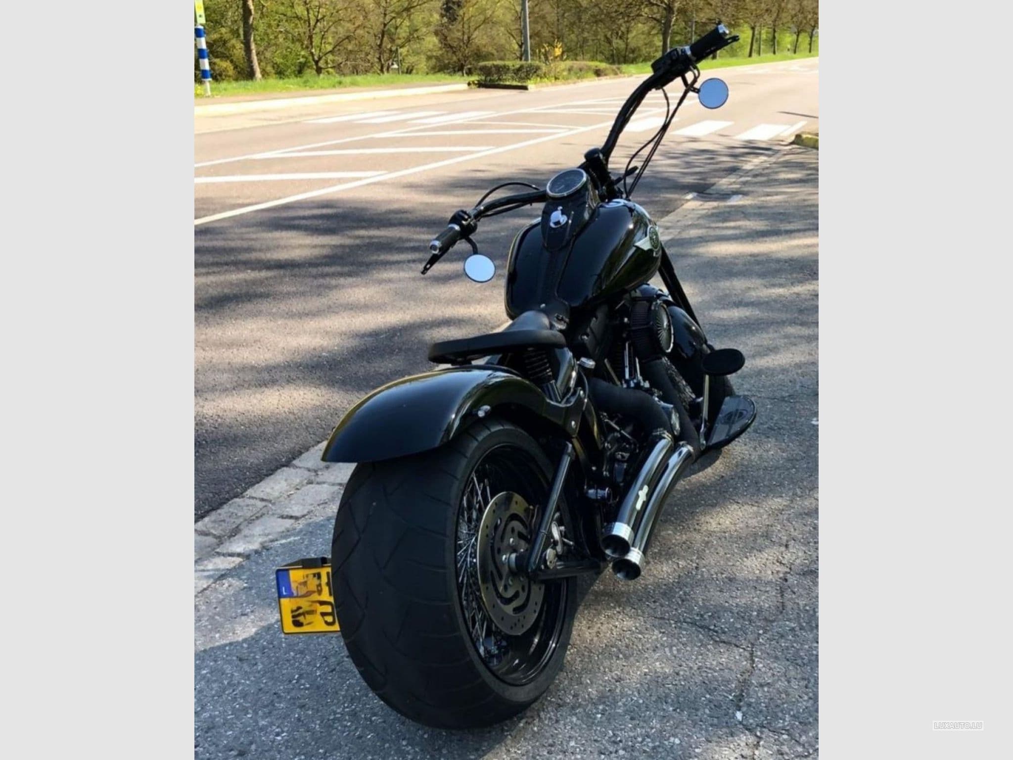 Harley-Davidson Cross Bones (2008) - Foto 2