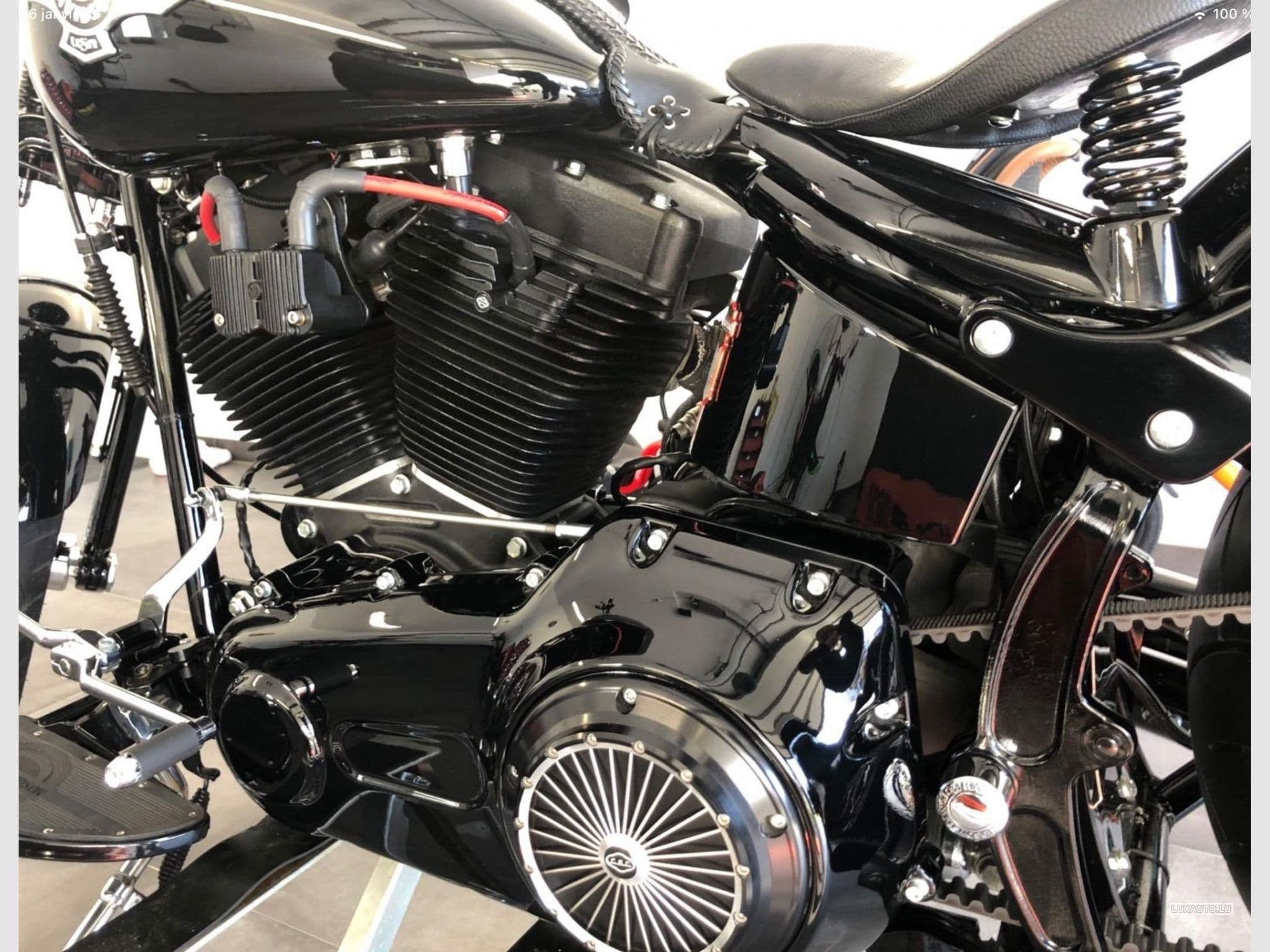 Harley-Davidson Cross Bones (2008) - Foto 3