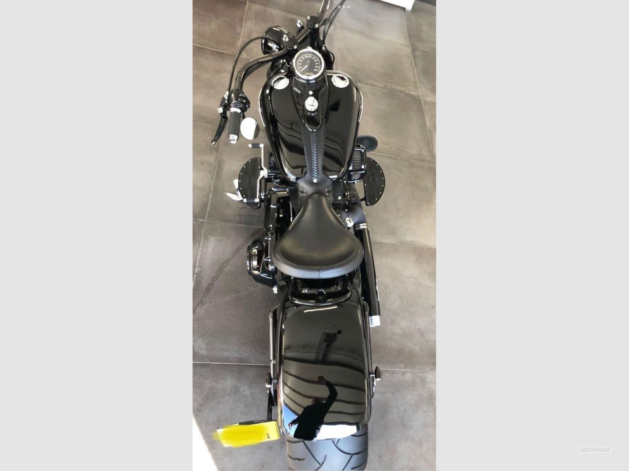 Harley-Davidson Cross Bones (2008) - Foto 4