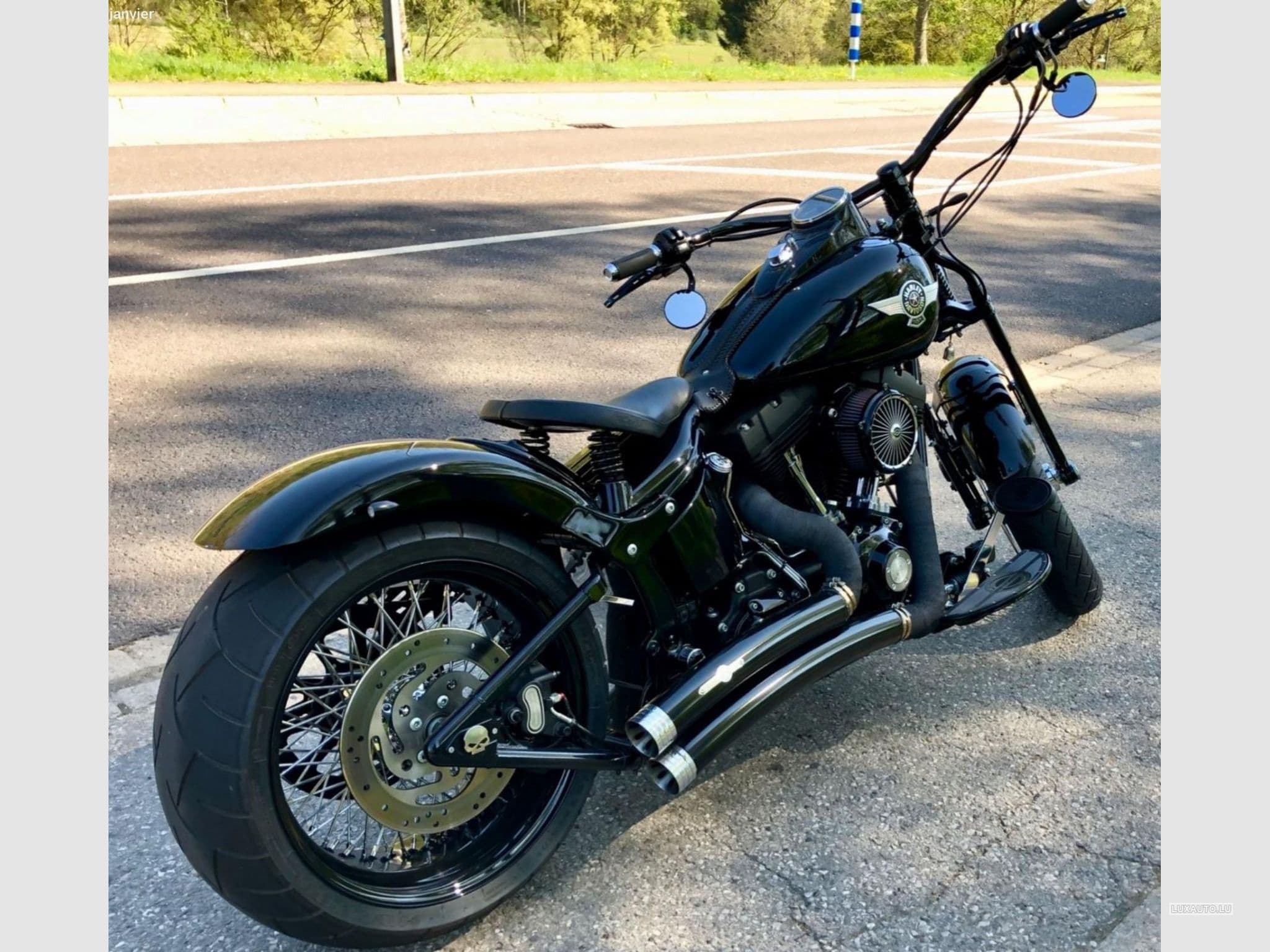 Harley-Davidson Cross Bones (2008) - Foto 5