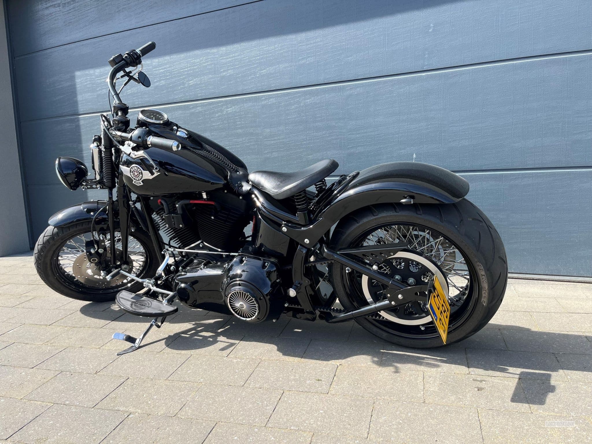 Harley-Davidson Cross Bones (2008) - Foto 7