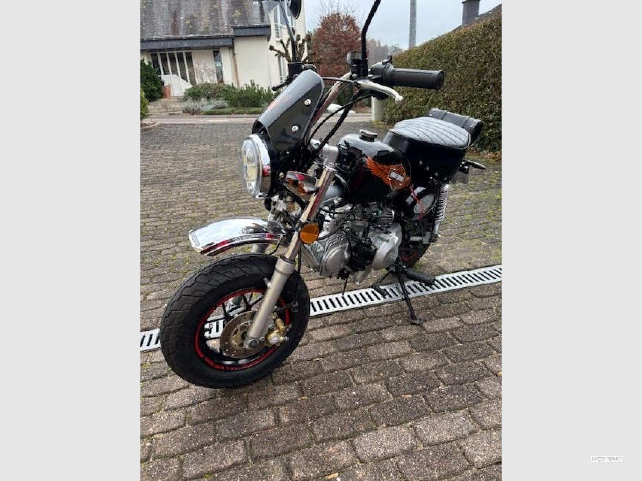 Skyteam Monkey 125 ccm (2020) - Photo 2