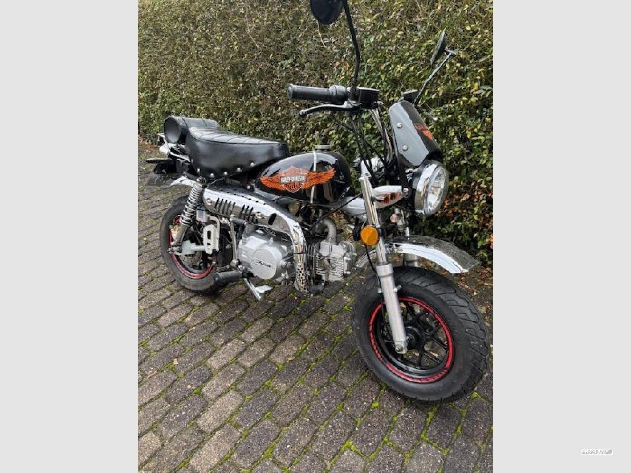 Skyteam Monkey 125 ccm (2020) - Photo 3