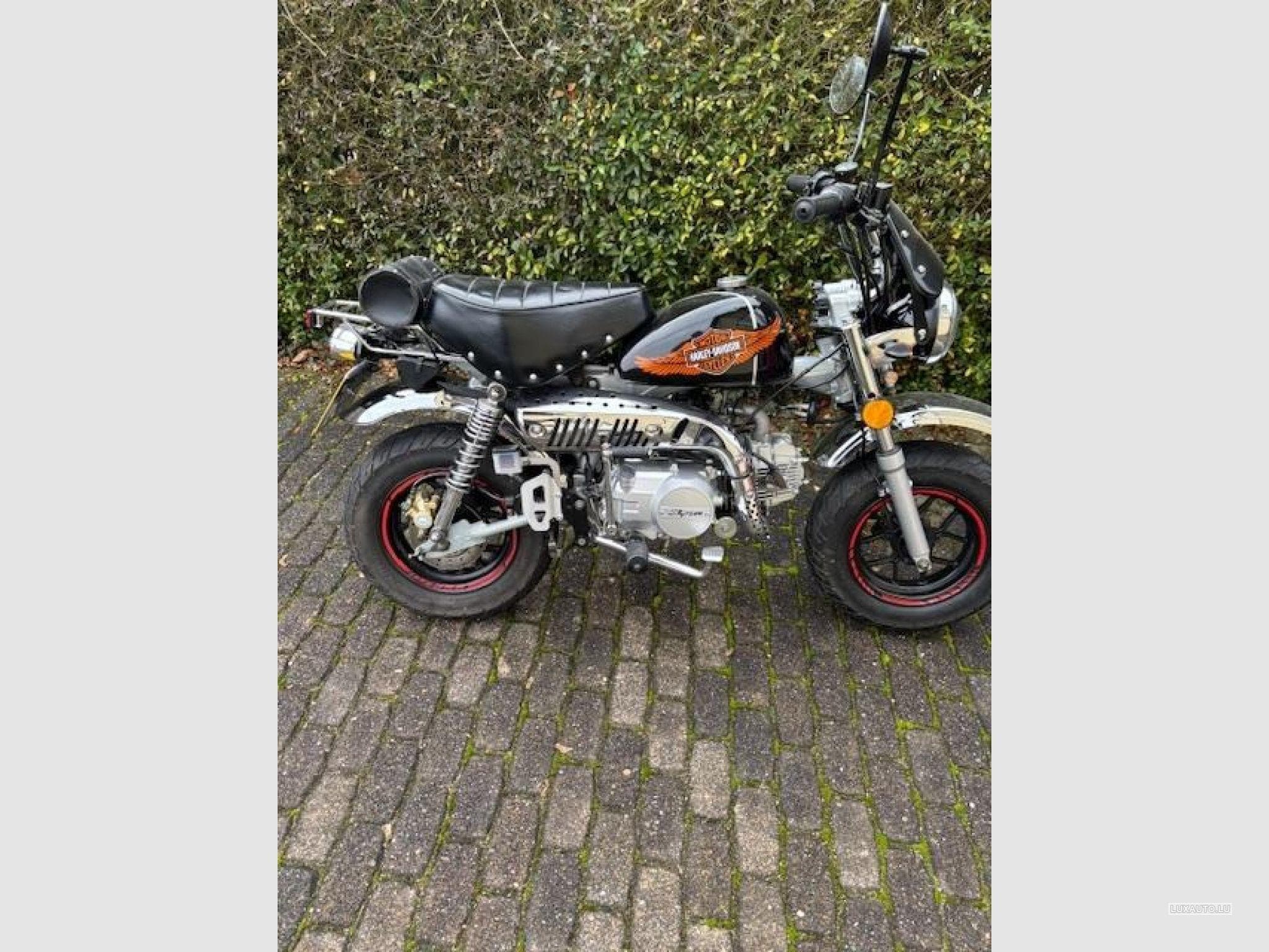 Skyteam Monkey 125 ccm (2020) - Photo 4