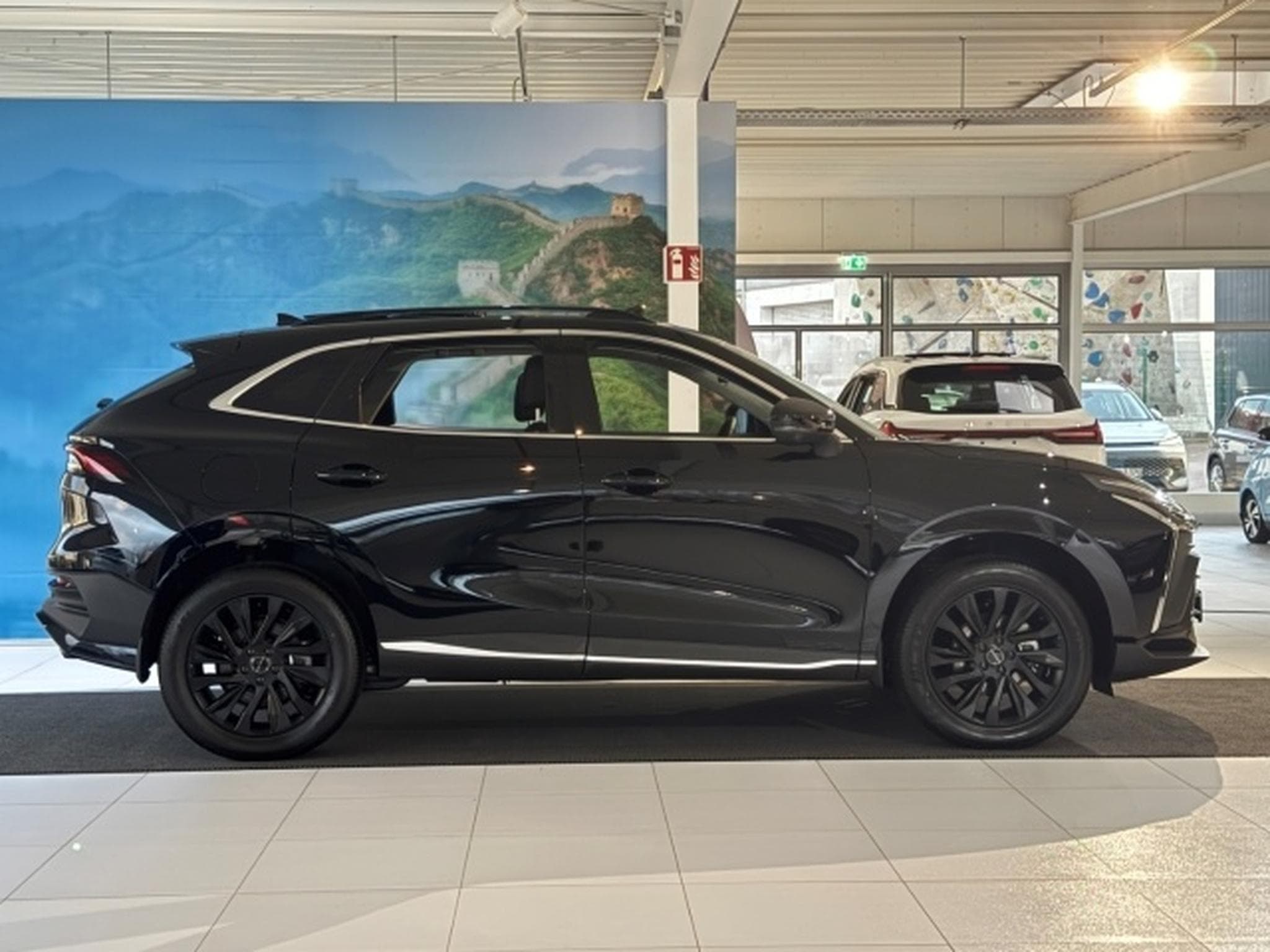 Forthing T5 EVO 15x Lager Vollausstattung Modell 2025 (2025) - Photo 3