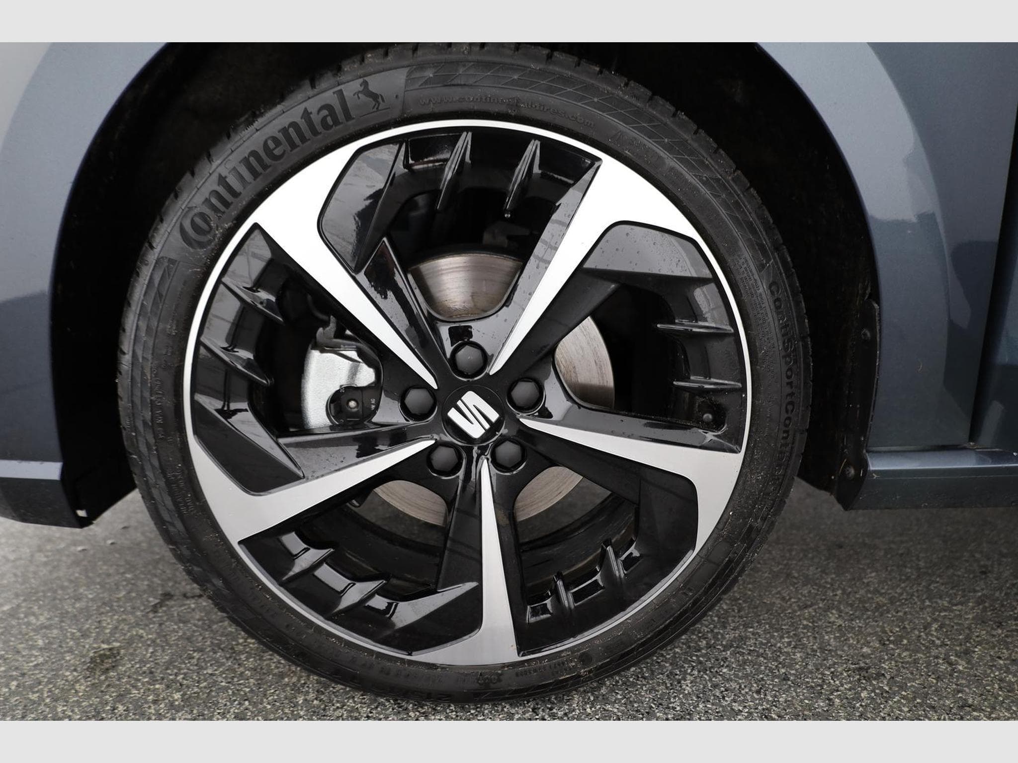 Seat Ibiza FR (2025) - Photo 4