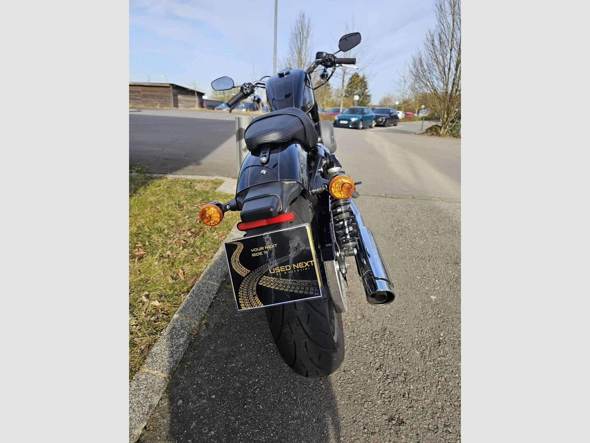 Harley-Davidson Sportster XL 1200 ROADSTER (2016) - Foto 5