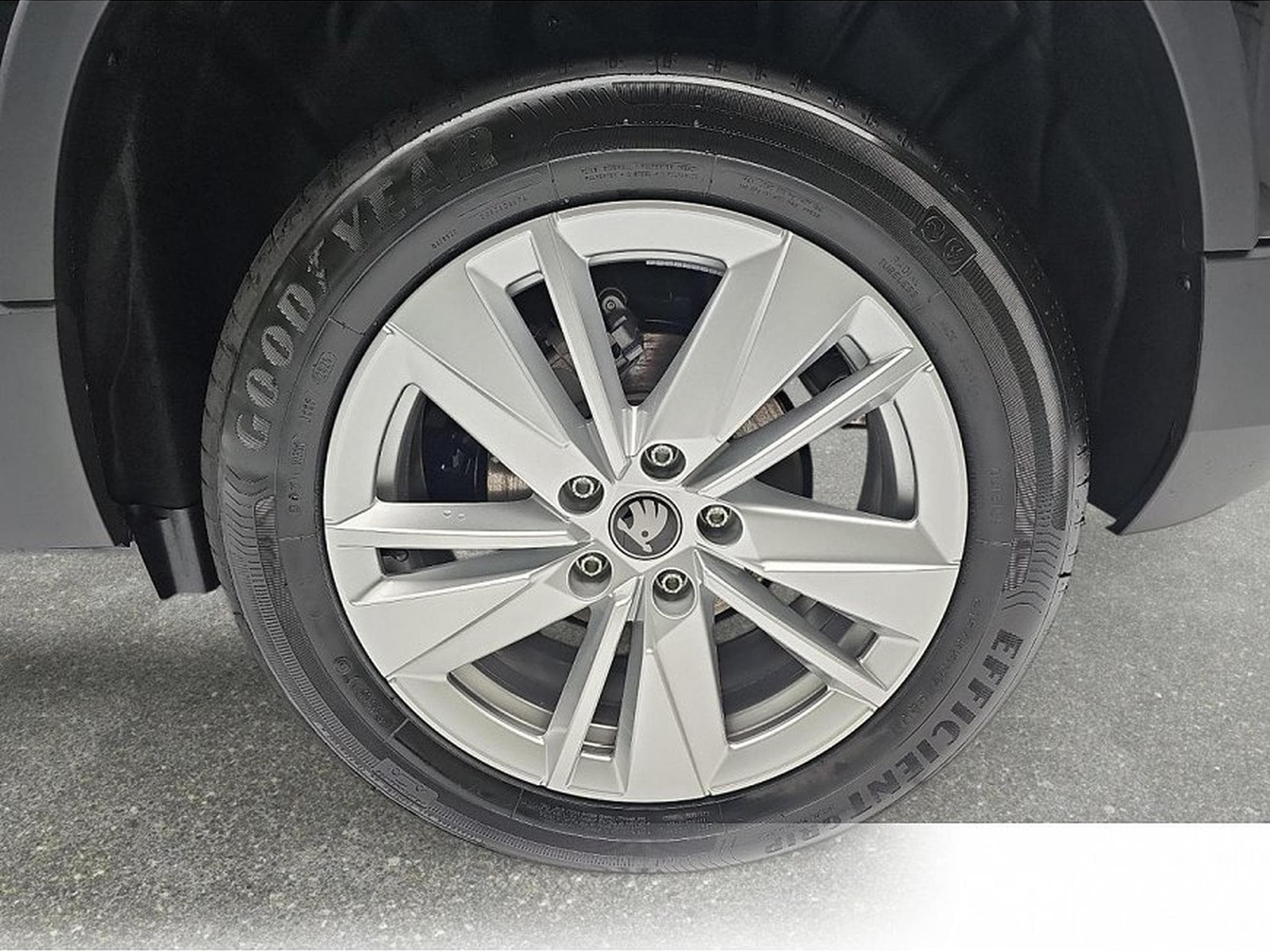 Skoda Karoq (2026) - Foto 5