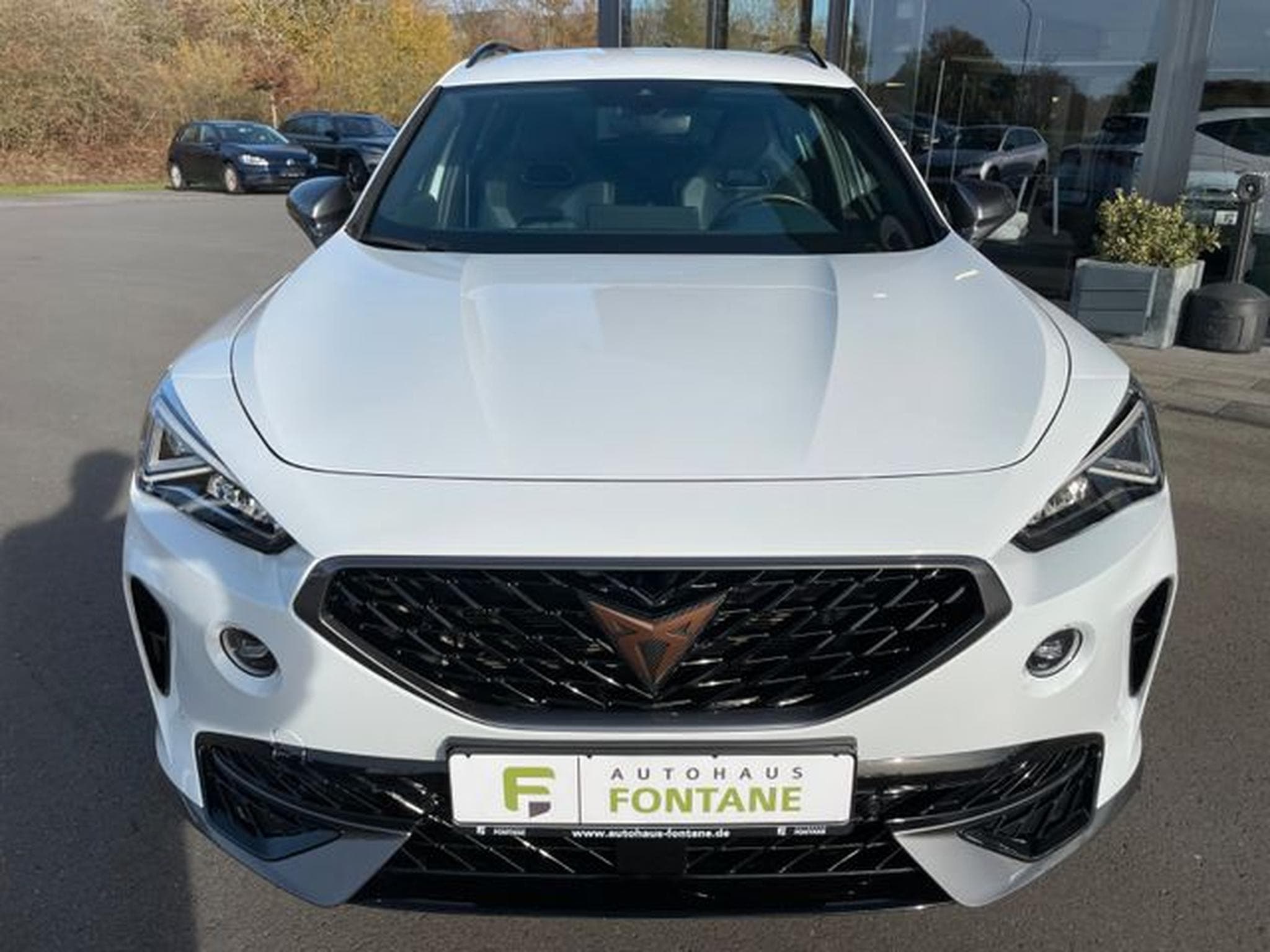 Cupra Formentor Formentor 1,5TSi Leder DCC Key 19"Virtual (2024) - Photo 2