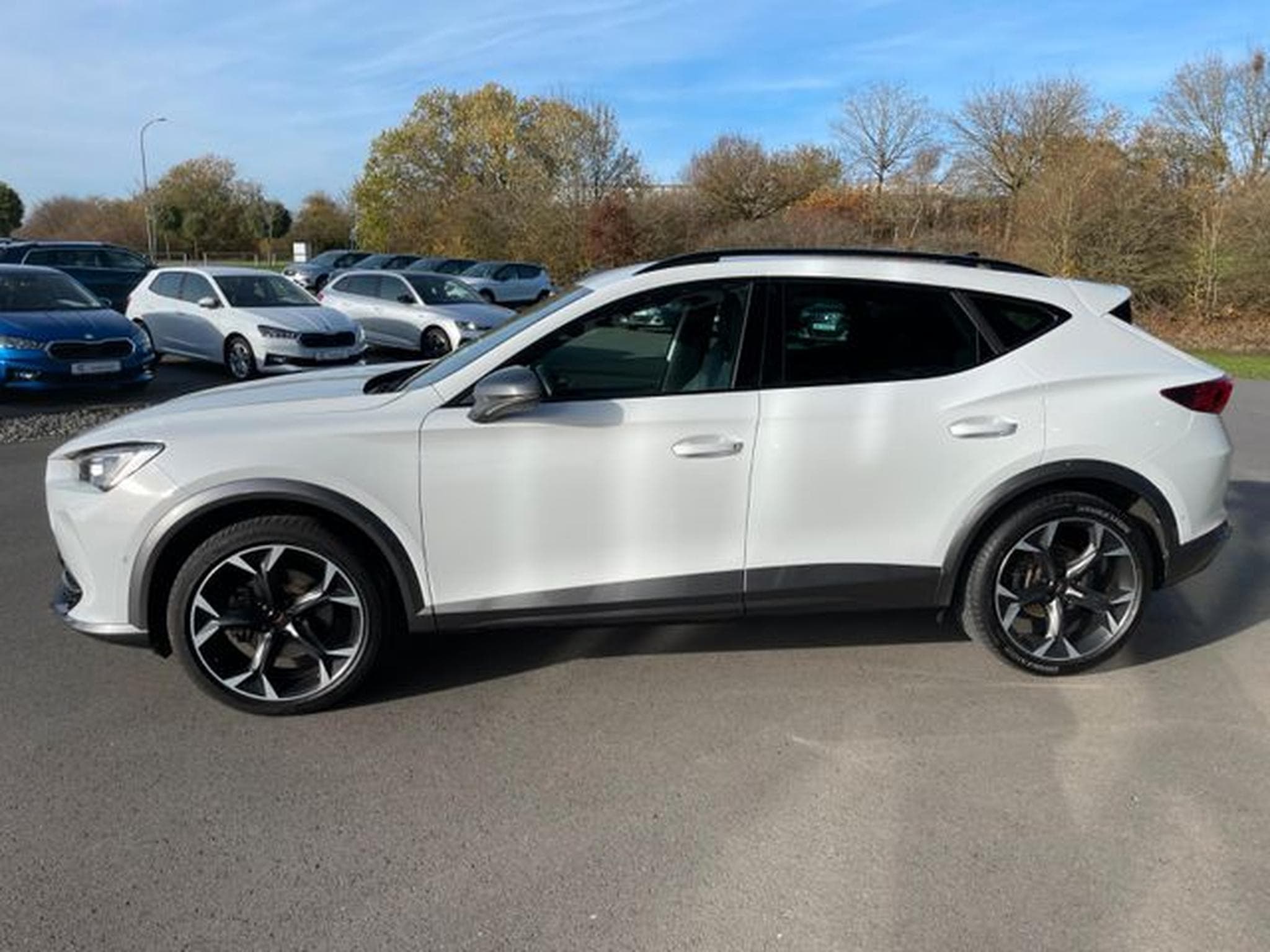 Cupra Formentor Formentor 1,5TSi Leder DCC Key 19"Virtual (2024) - Photo 8