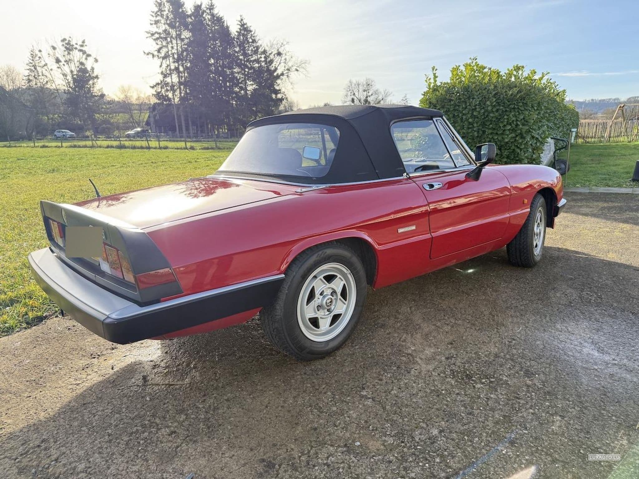 Alfa-Romeo Spider (1988) - Photo 7