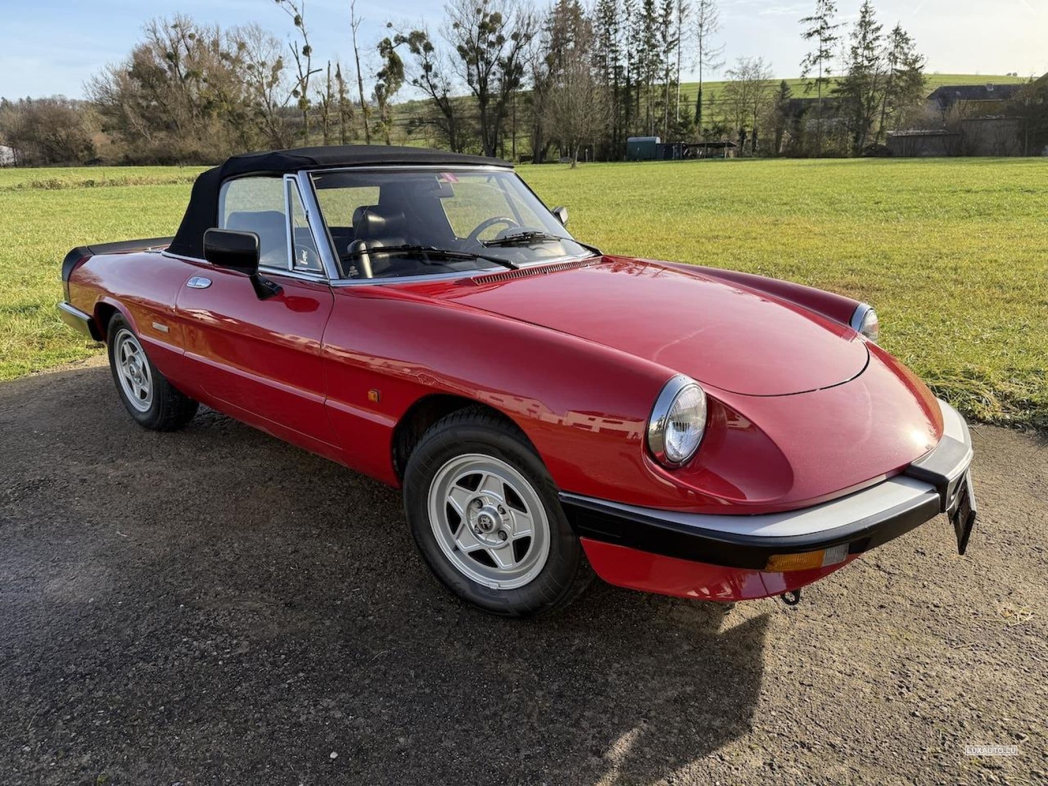 Alfa-Romeo Spider (1988) - Photo 8