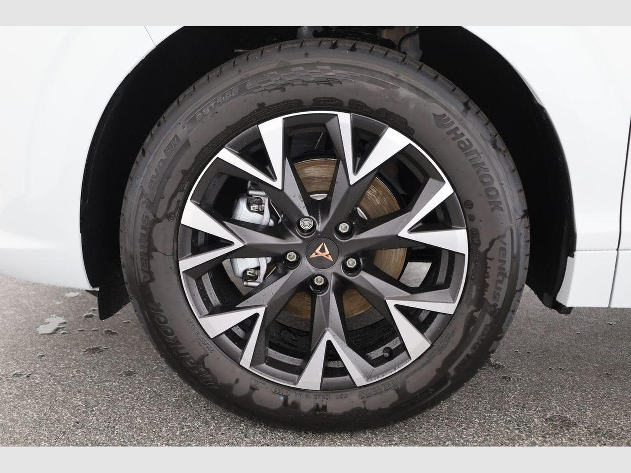 Cupra Terramar 1.5 eTSI 110 kW (2025) - Foto 15