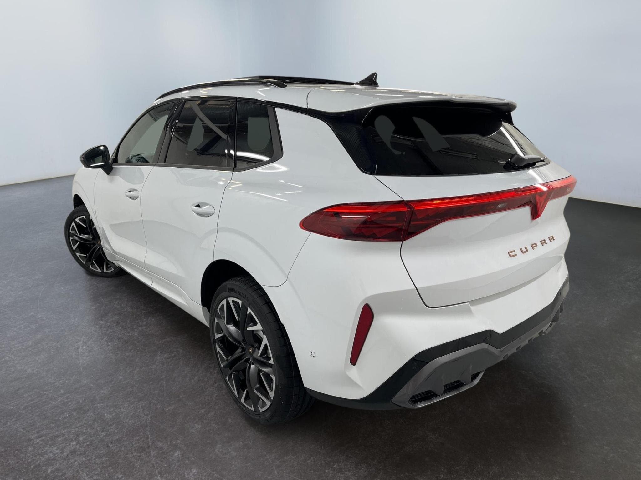 Cupra Terramar VZ (2025) - Photo 5