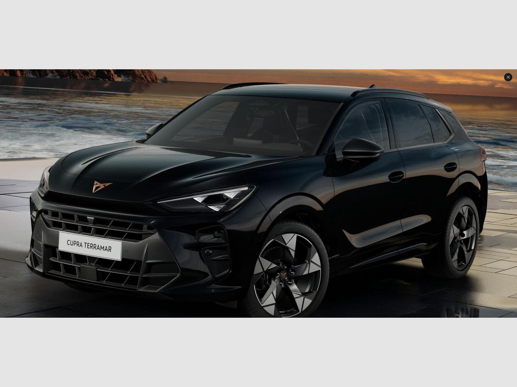 Cupra Terramar VZ (2025) - Photo 1