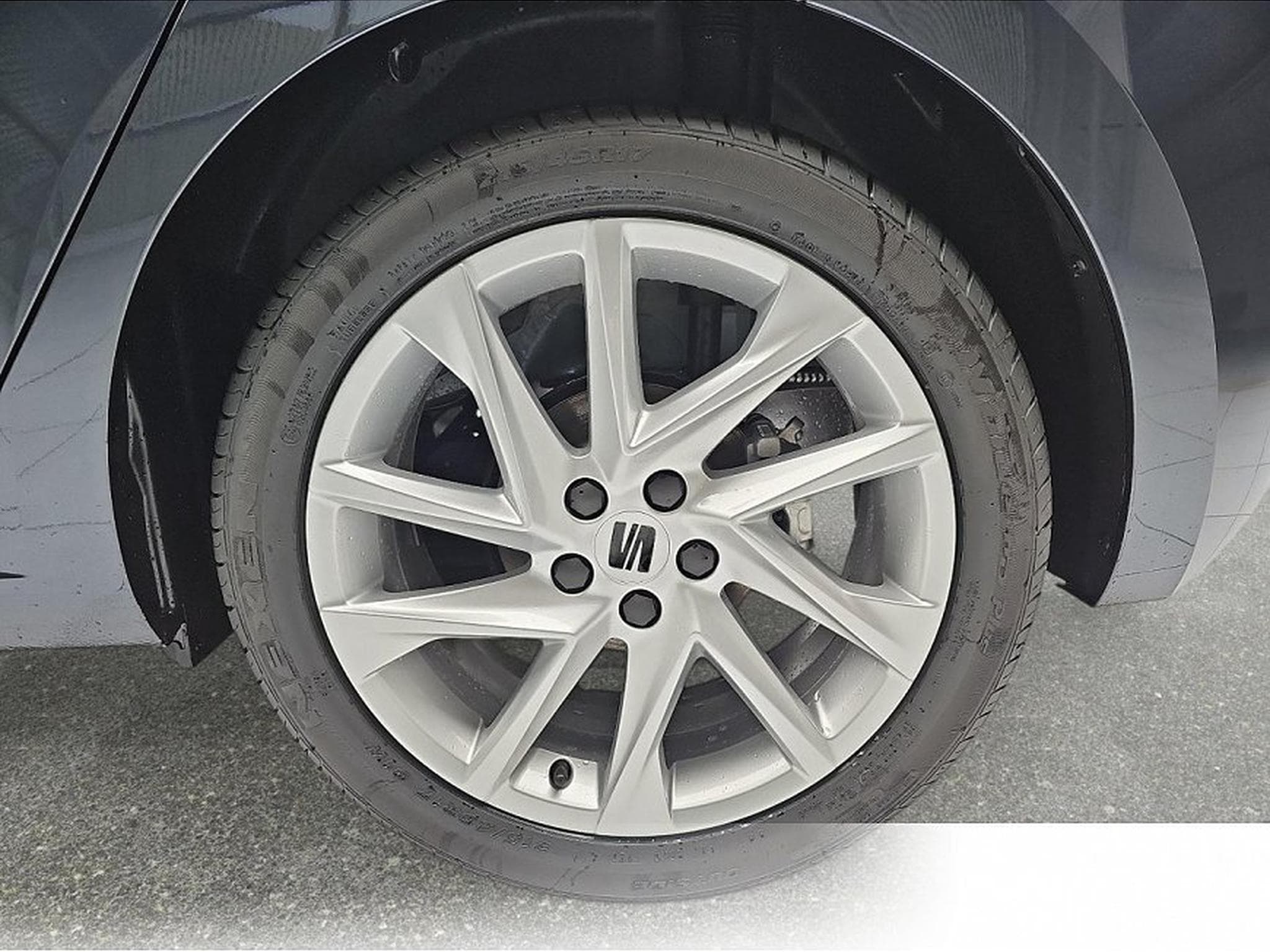 Seat Ibiza (2026) - Photo 5