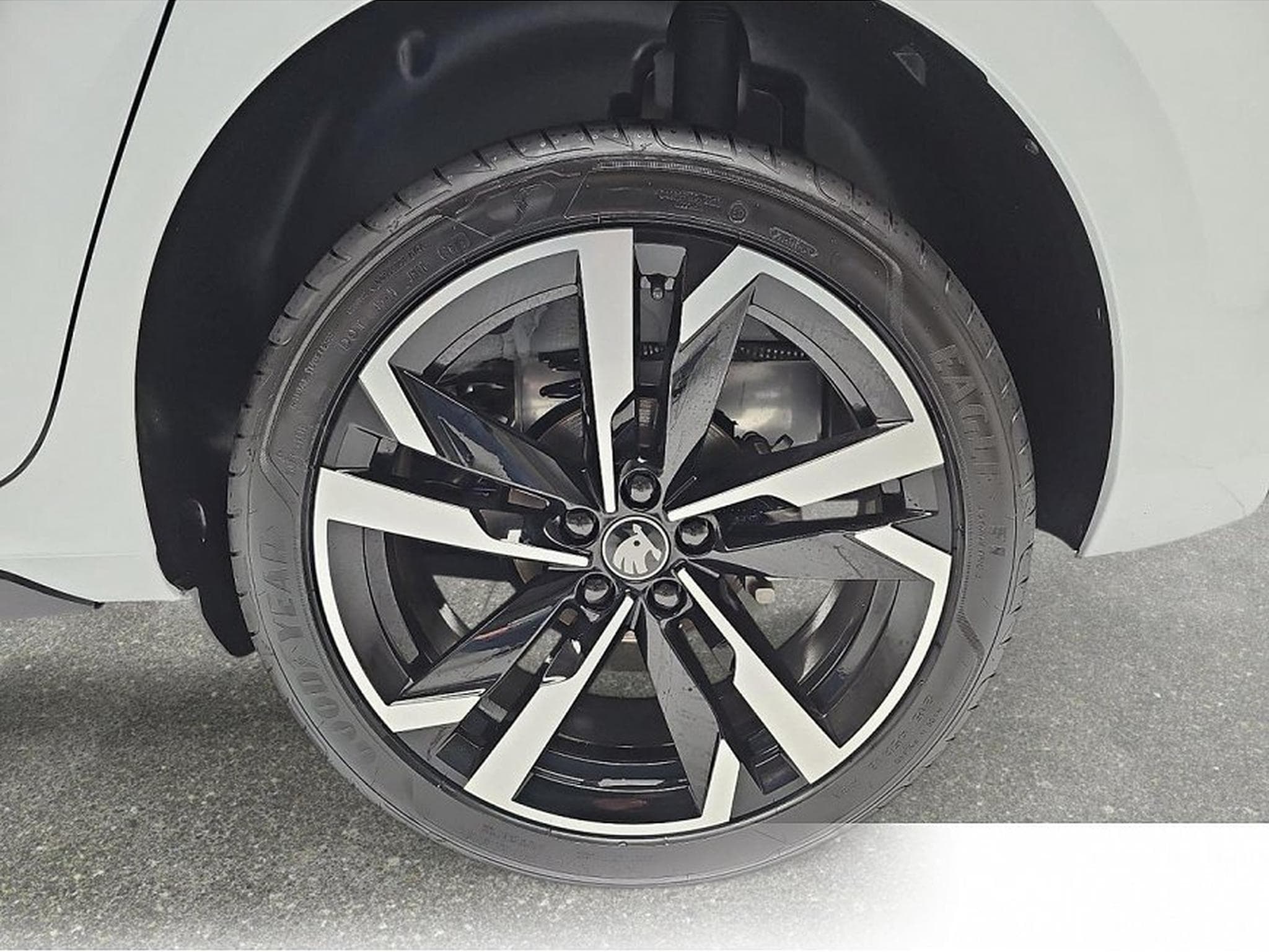 Skoda Kamiq (2026) - Photo 5