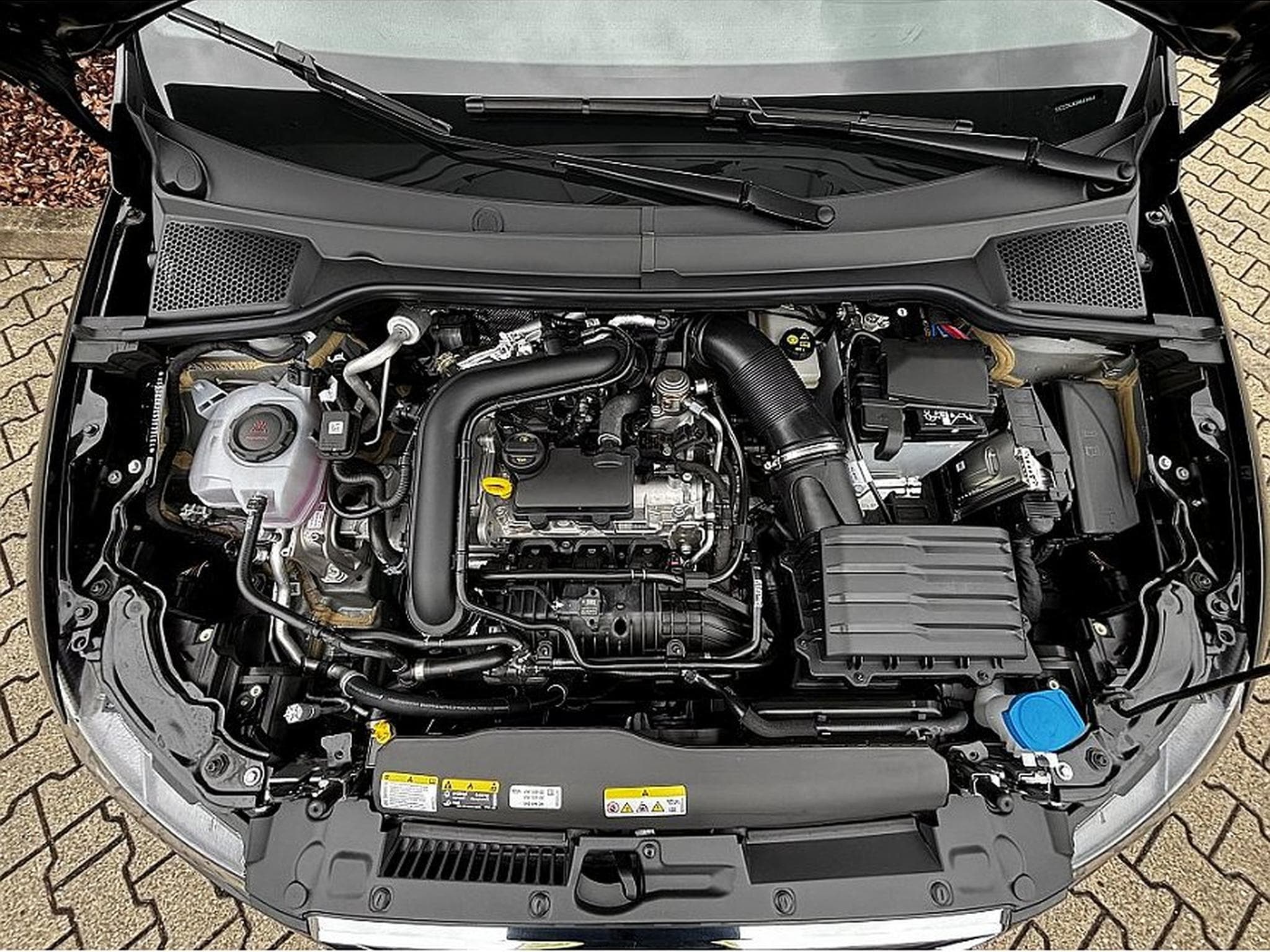 Seat Ibiza (2026) - Photo 8