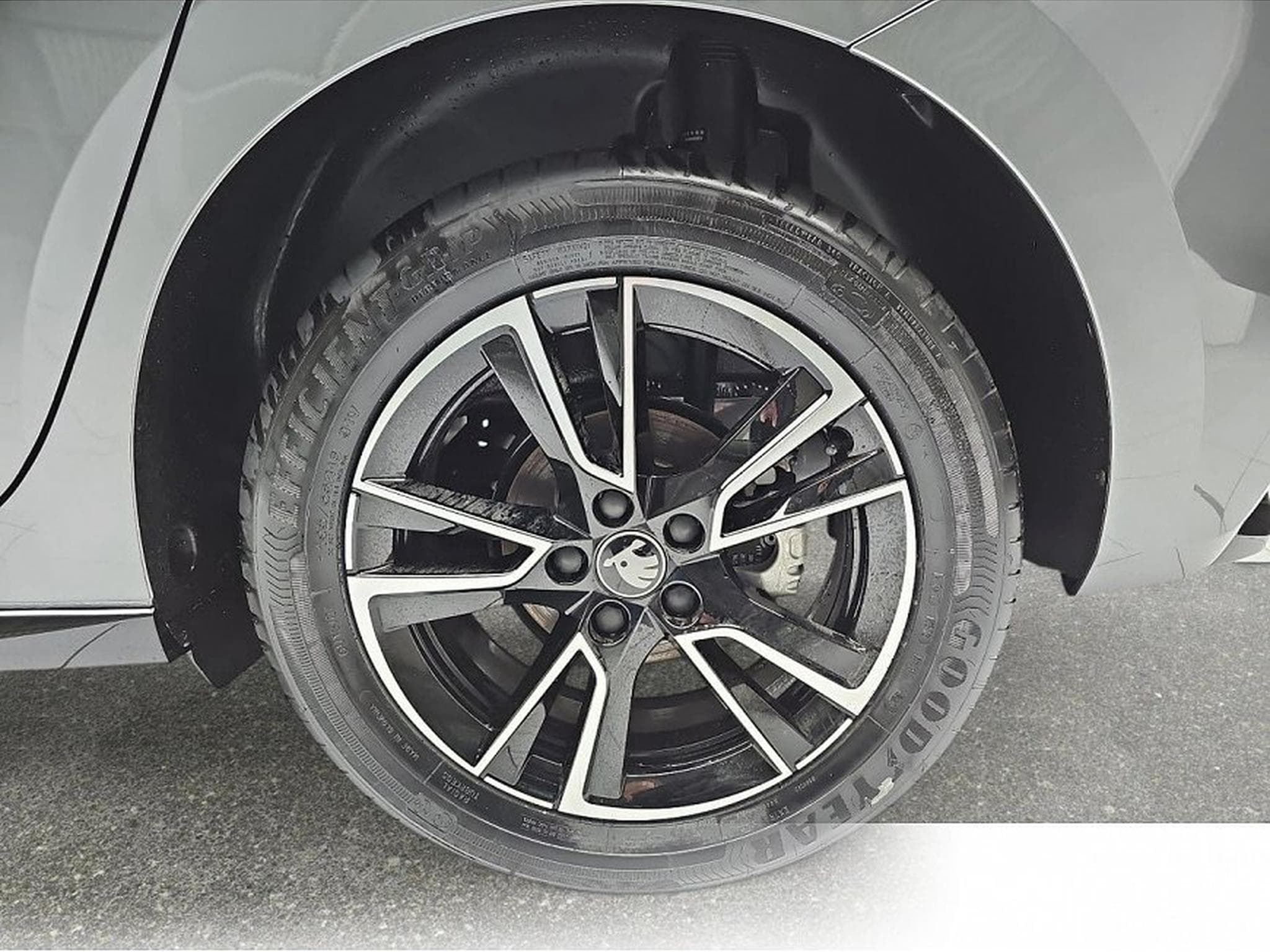 Skoda Fabia (2026) - Photo 5