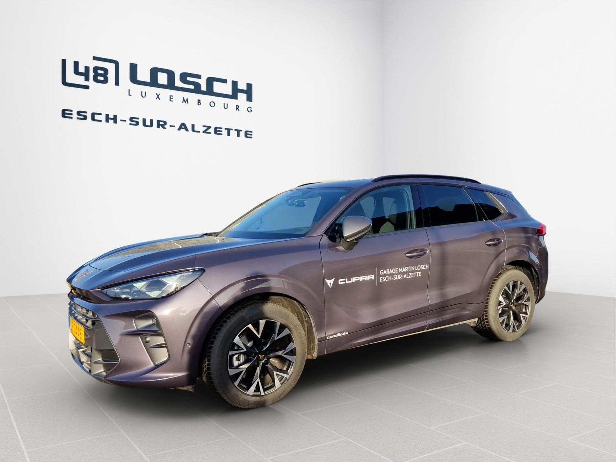 Cupra Terramar 4Drive DSG (2025) - Photo 3