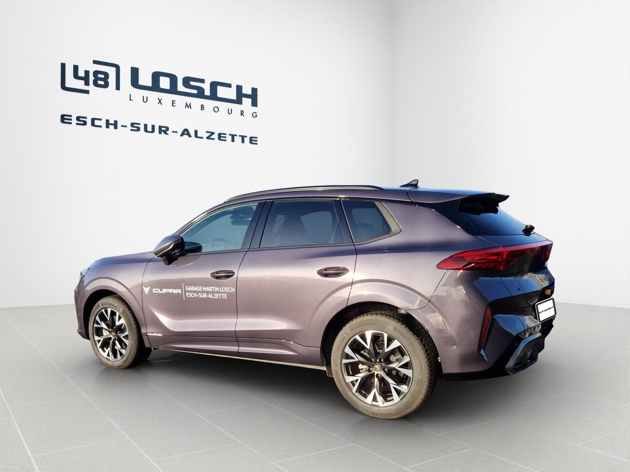 Cupra Terramar 4Drive DSG (2025) - Photo 4