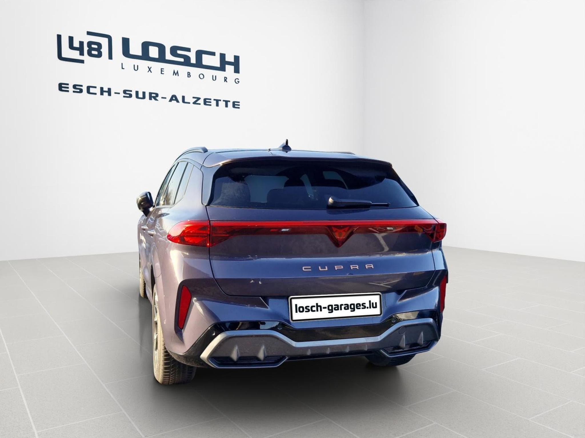 Cupra Terramar 4Drive DSG (2025) - Photo 5